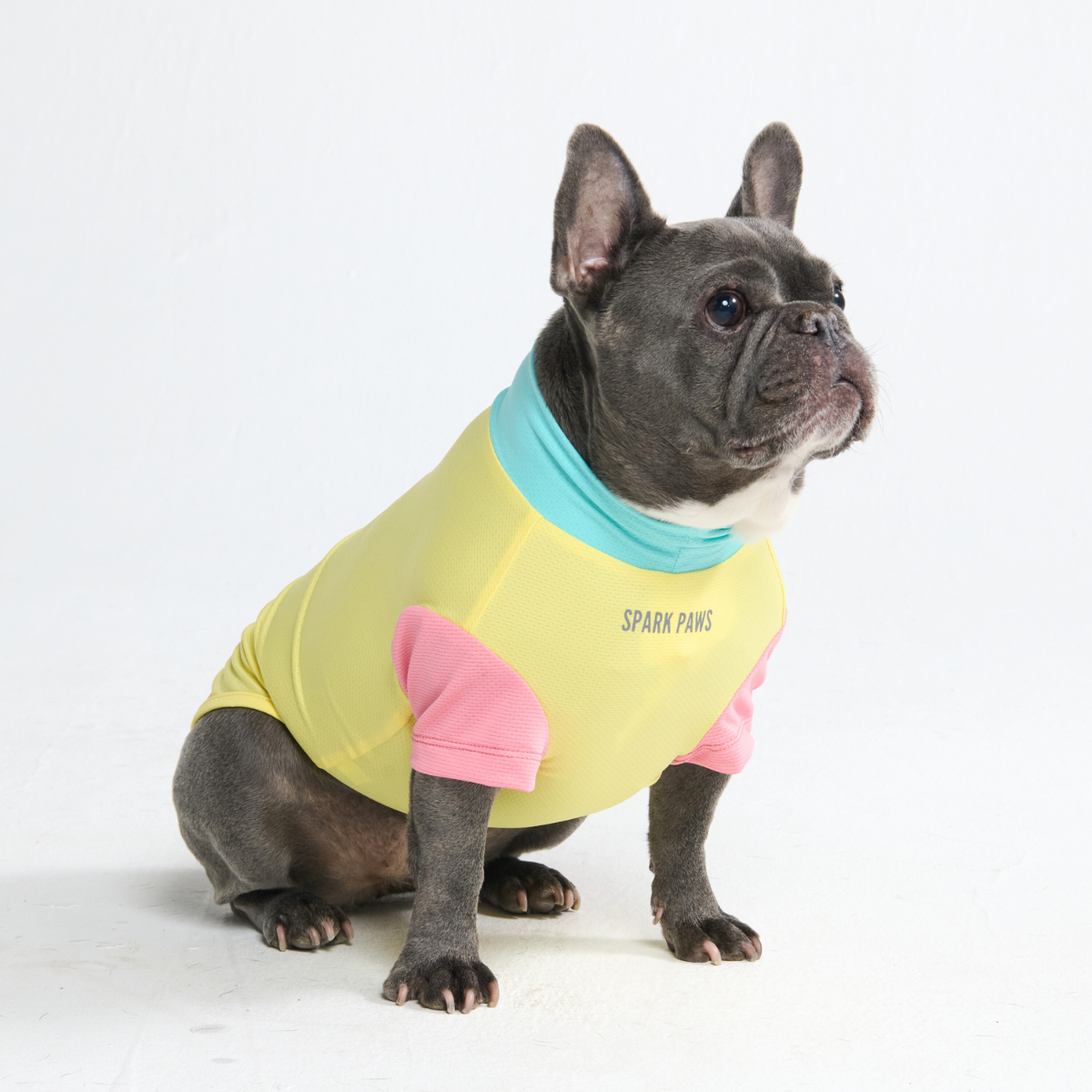 Sunblock Dog T-Shirt - Yuzu - Image 6