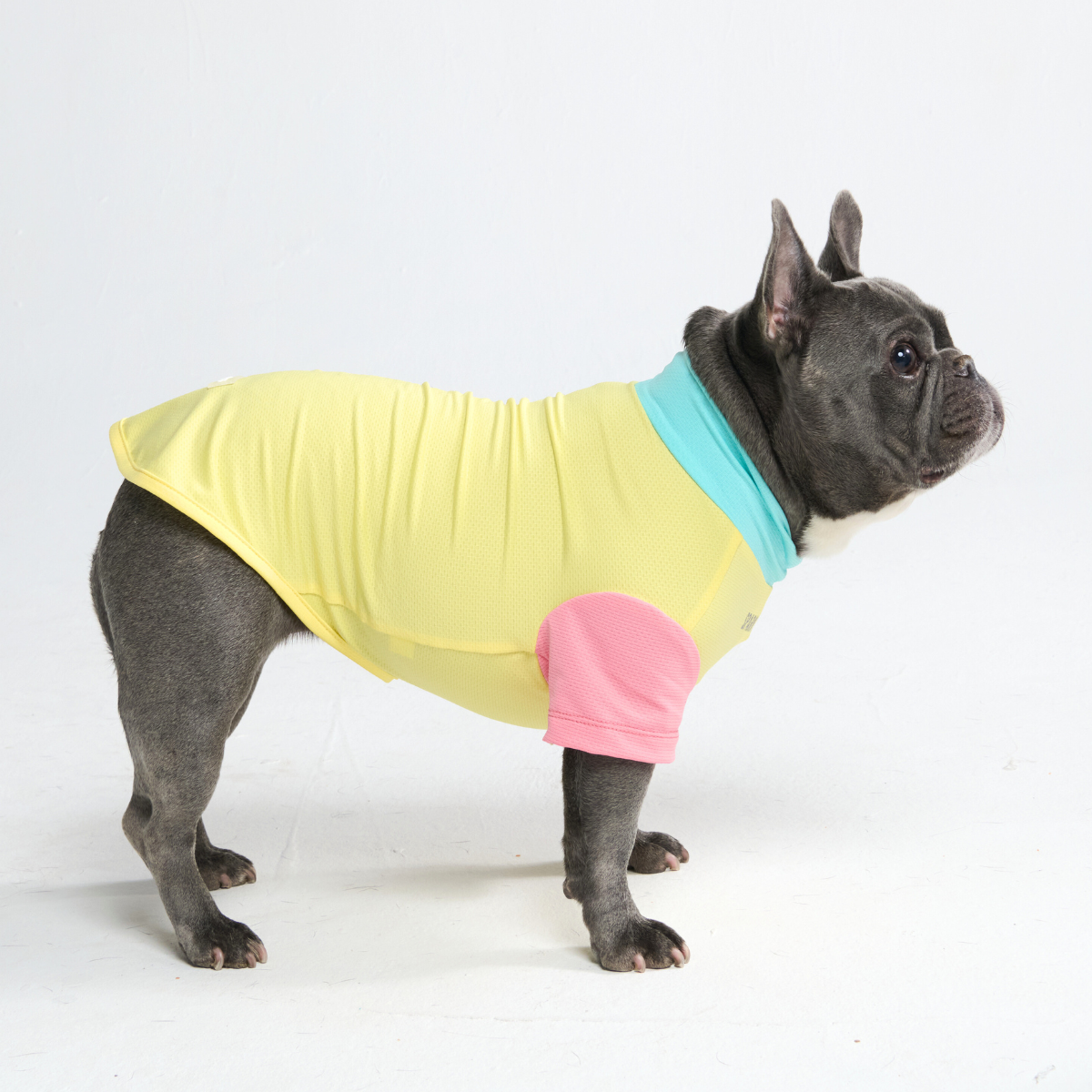 Sunblock Dog T-Shirt - Yuzu - Image 5