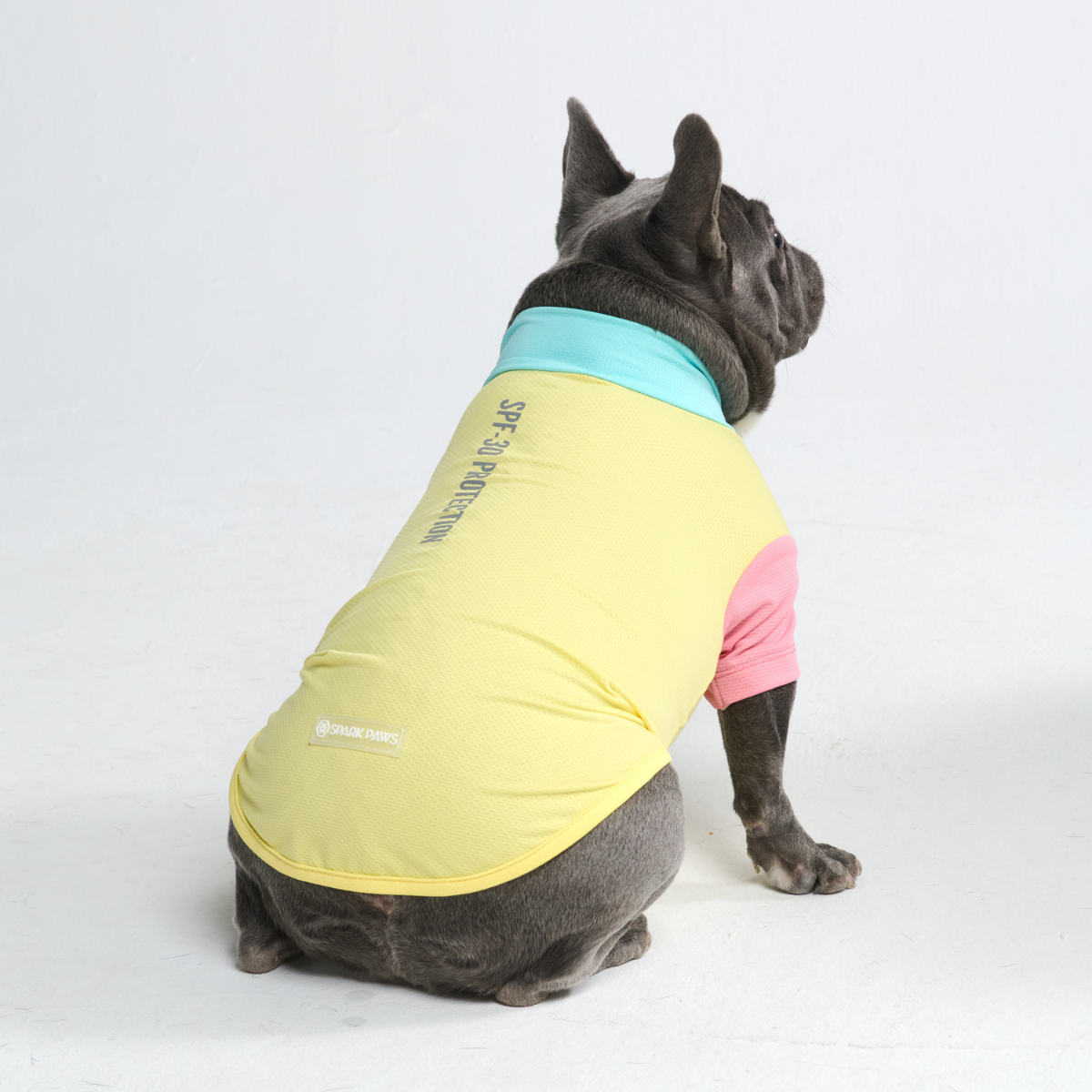 Sunblock Dog T-Shirt - Yuzu - Image 3