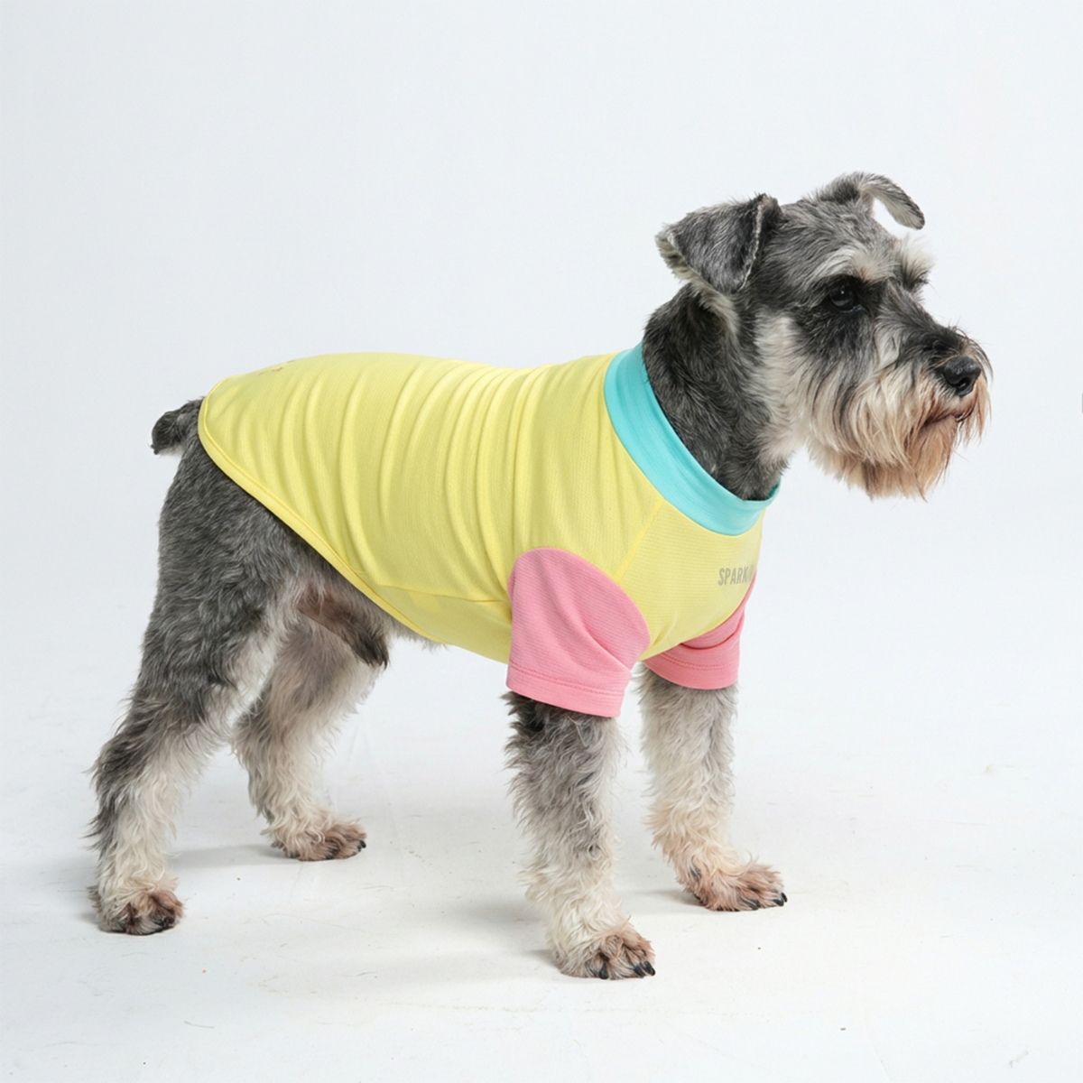 Sunblock Dog T-Shirt - Yuzu - Image 2