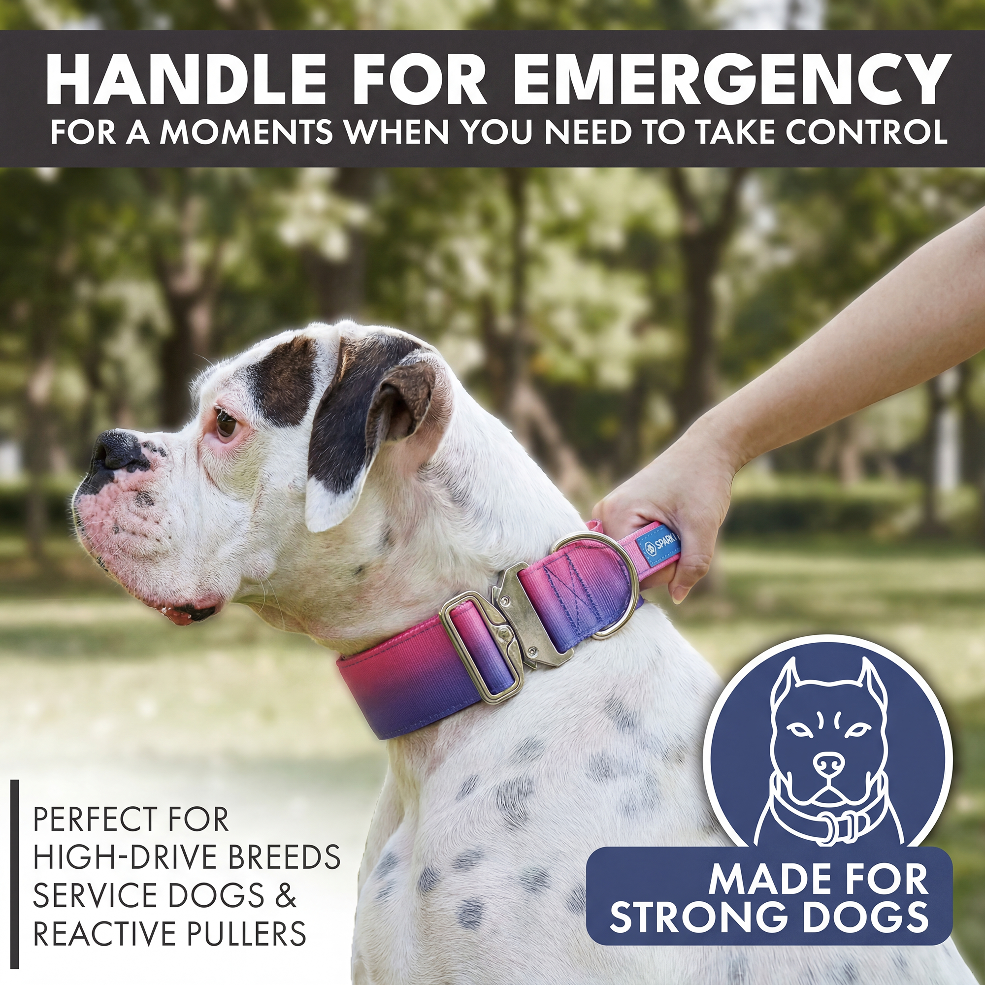 Comfort Control Collar - Snow Cone - Image 3