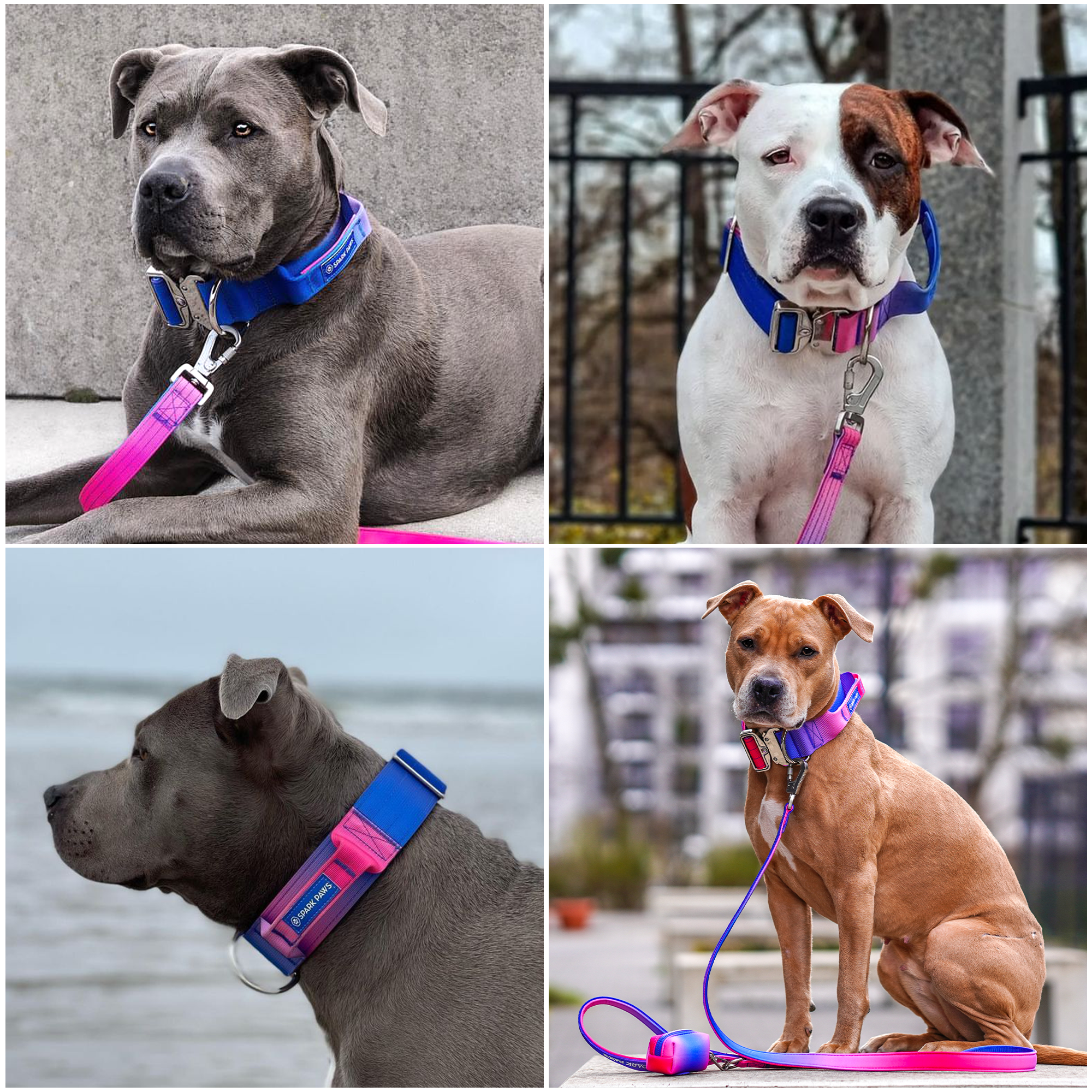 Comfort Control Collar - Snow Cone - Image 6