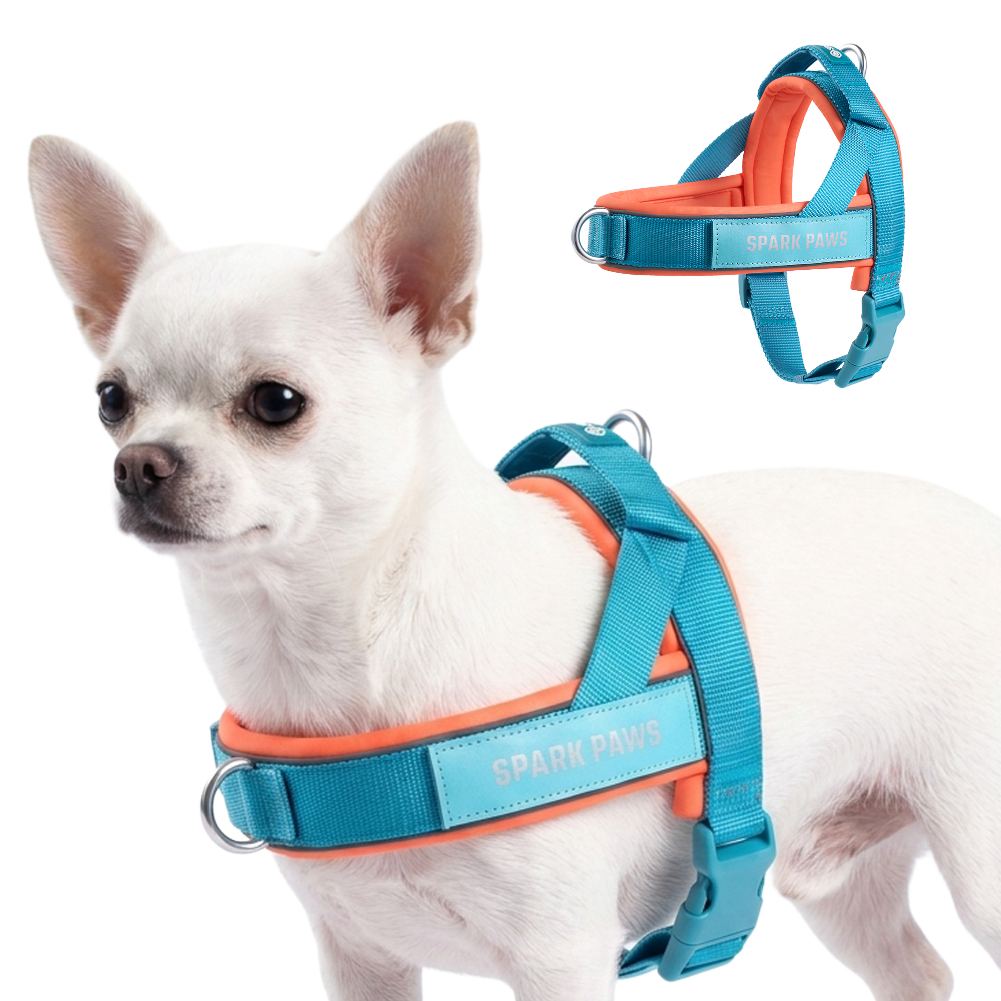 Grab & Go Harness - Teal & Apricot - Image 3