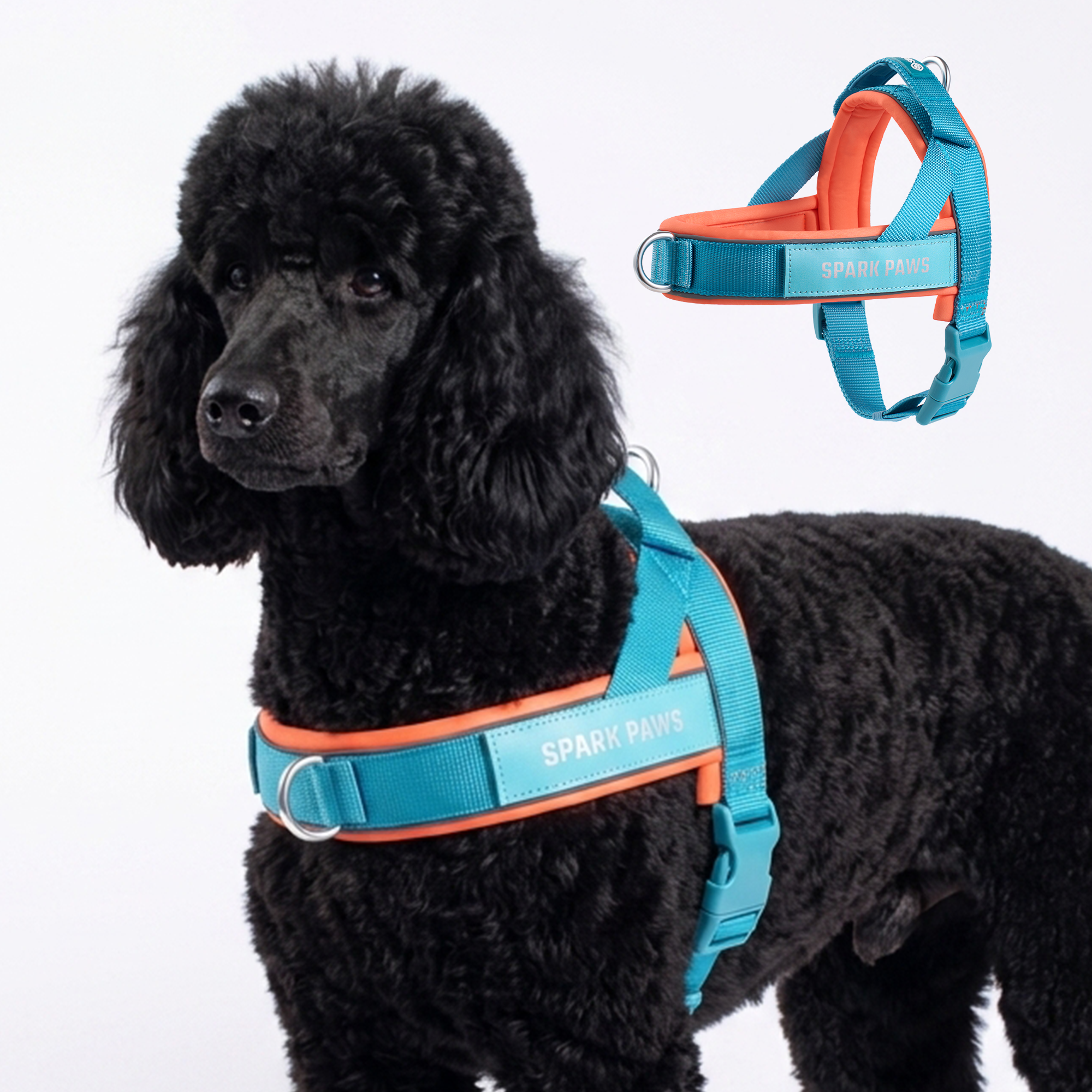 Grab & Go Harness - Teal & Apricot - Image 6