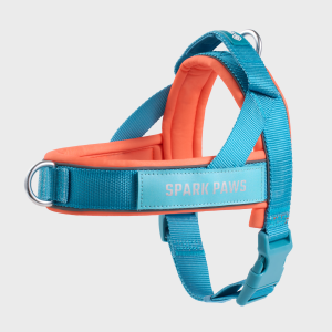 Grab & Go Harness - Teal & Apricot