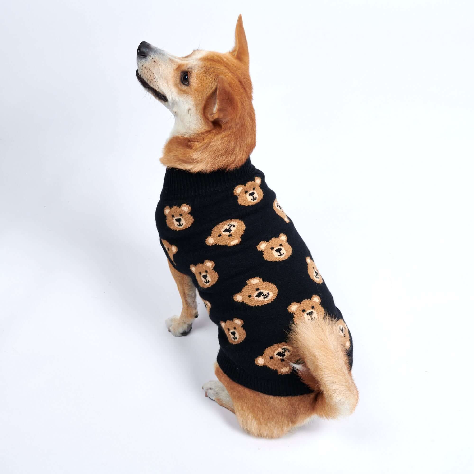 Broken Teddy Bear Knit Dog Sweater - Black - Image 3