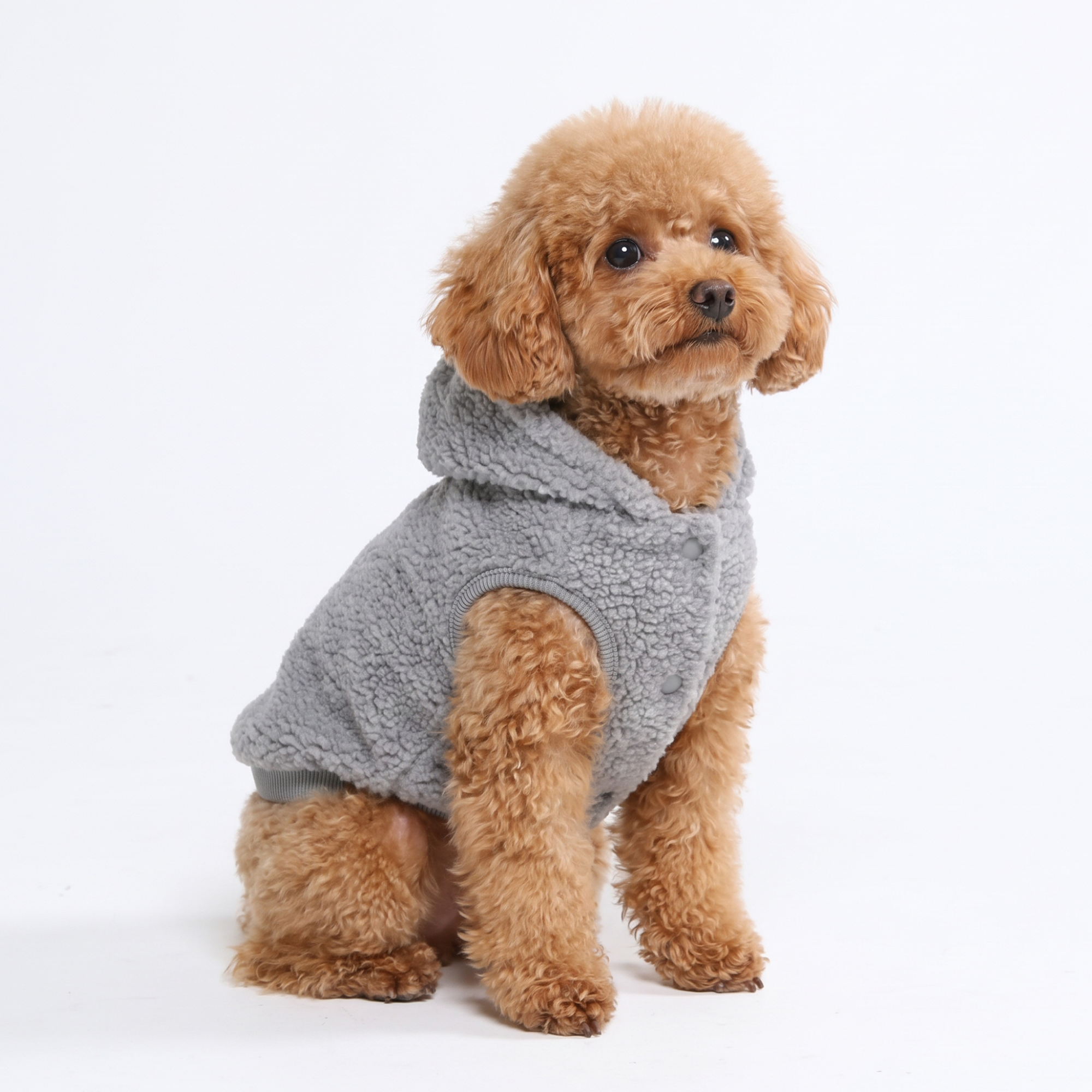 Teddy Sherpa Dog Jacket - Silver Gray - Image 2