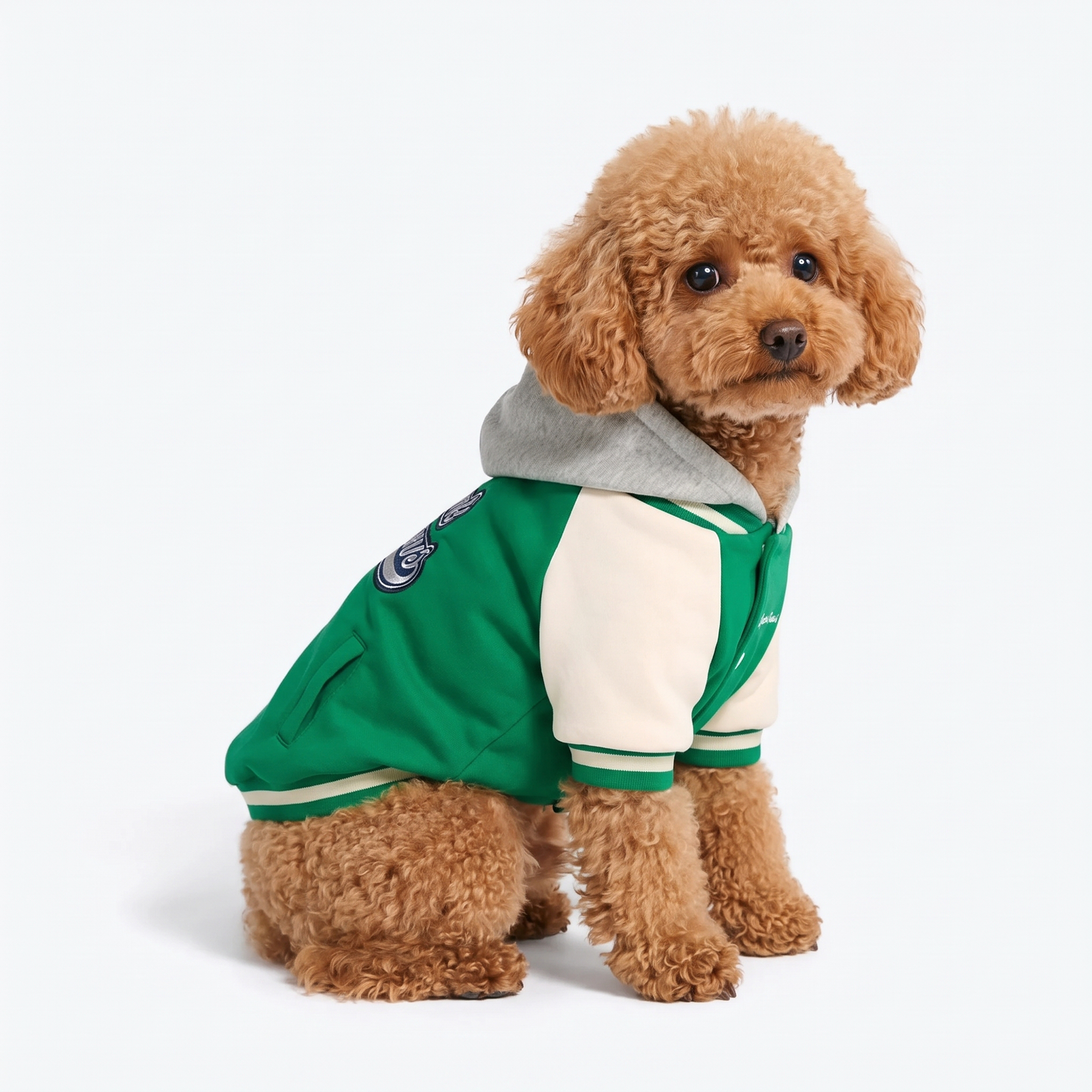 Dog Varsity Jacket - Green - Image 2