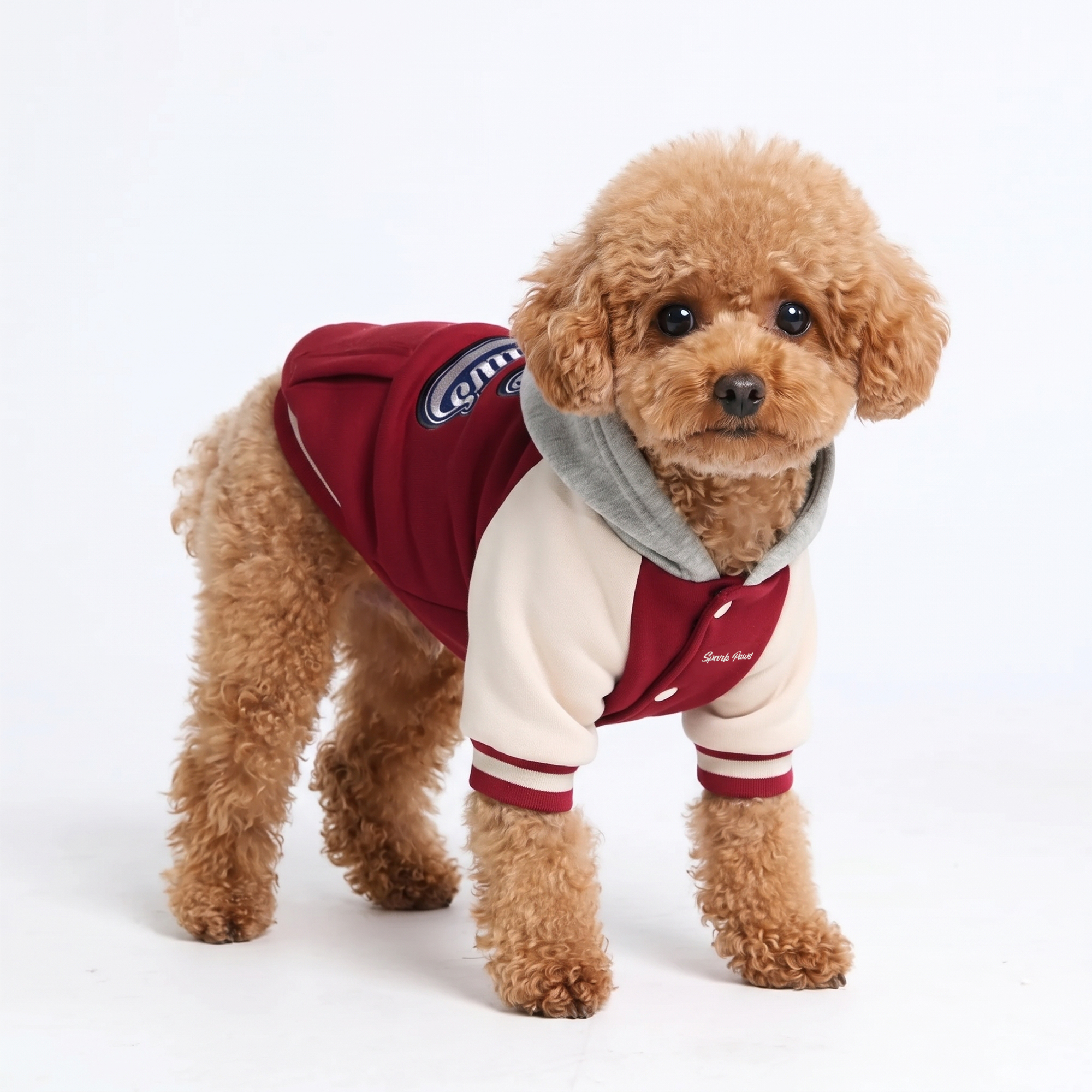 Dog Varsity Jacket - Red - Image 2