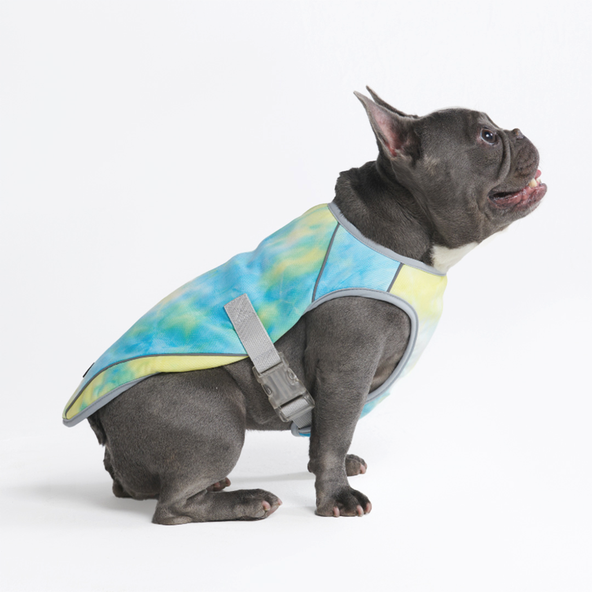 Dog Cooling Vest - Tropical Storm - Image 2
