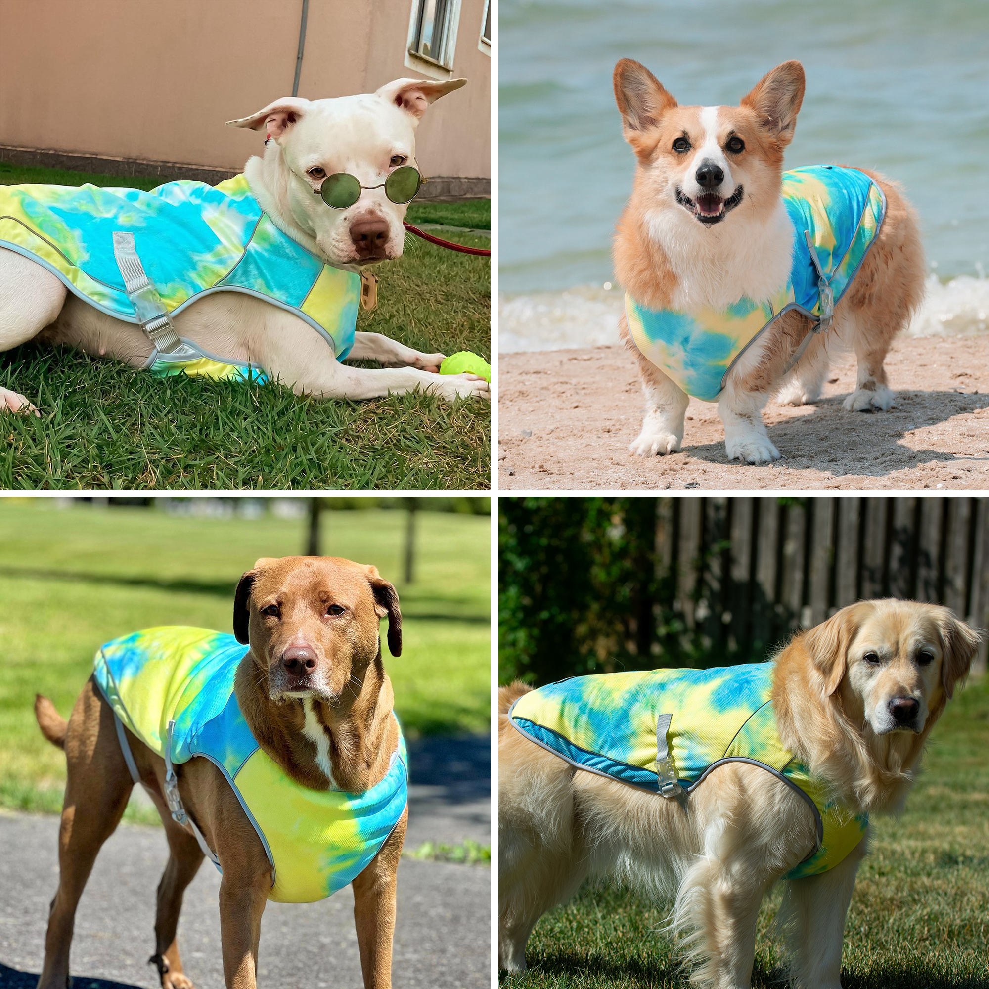 Dog Cooling Vest - Tropical Storm - Image 9