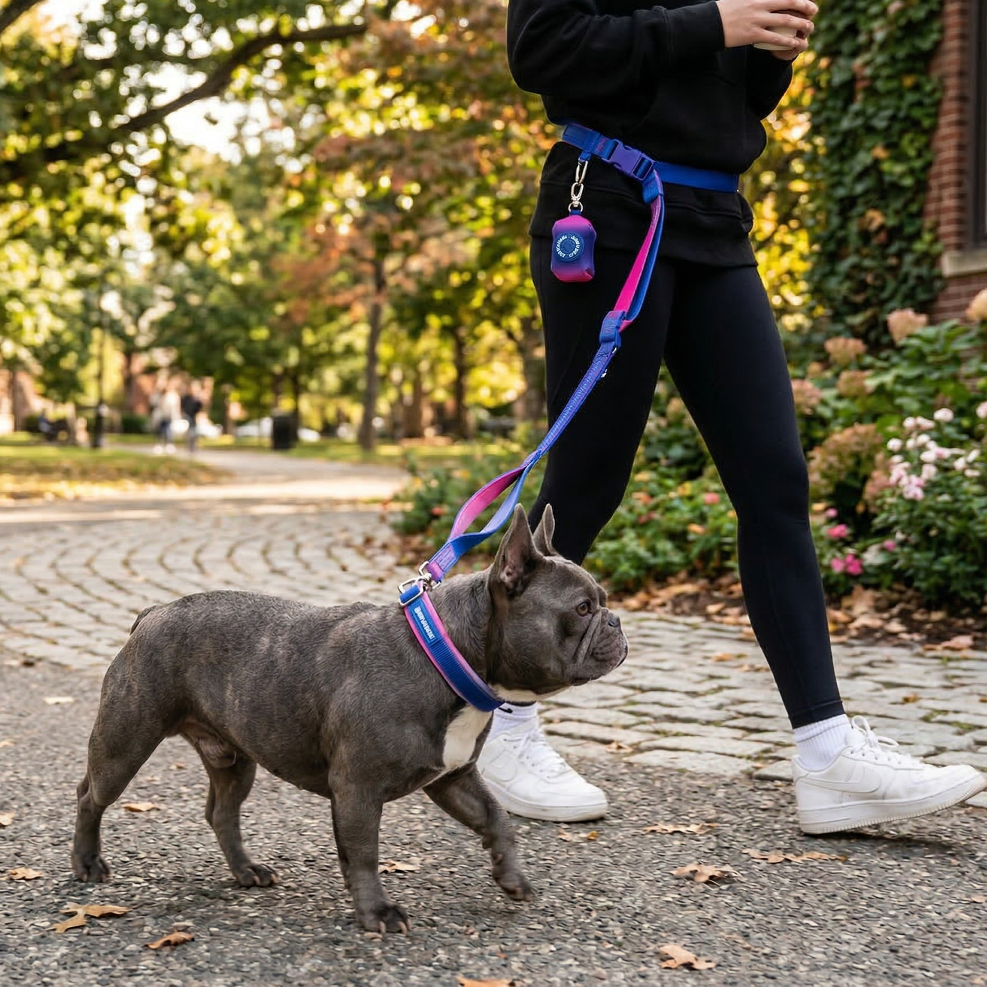 Martingale Collar and Multipurpose Leash Set - Snow Cone - Image 10