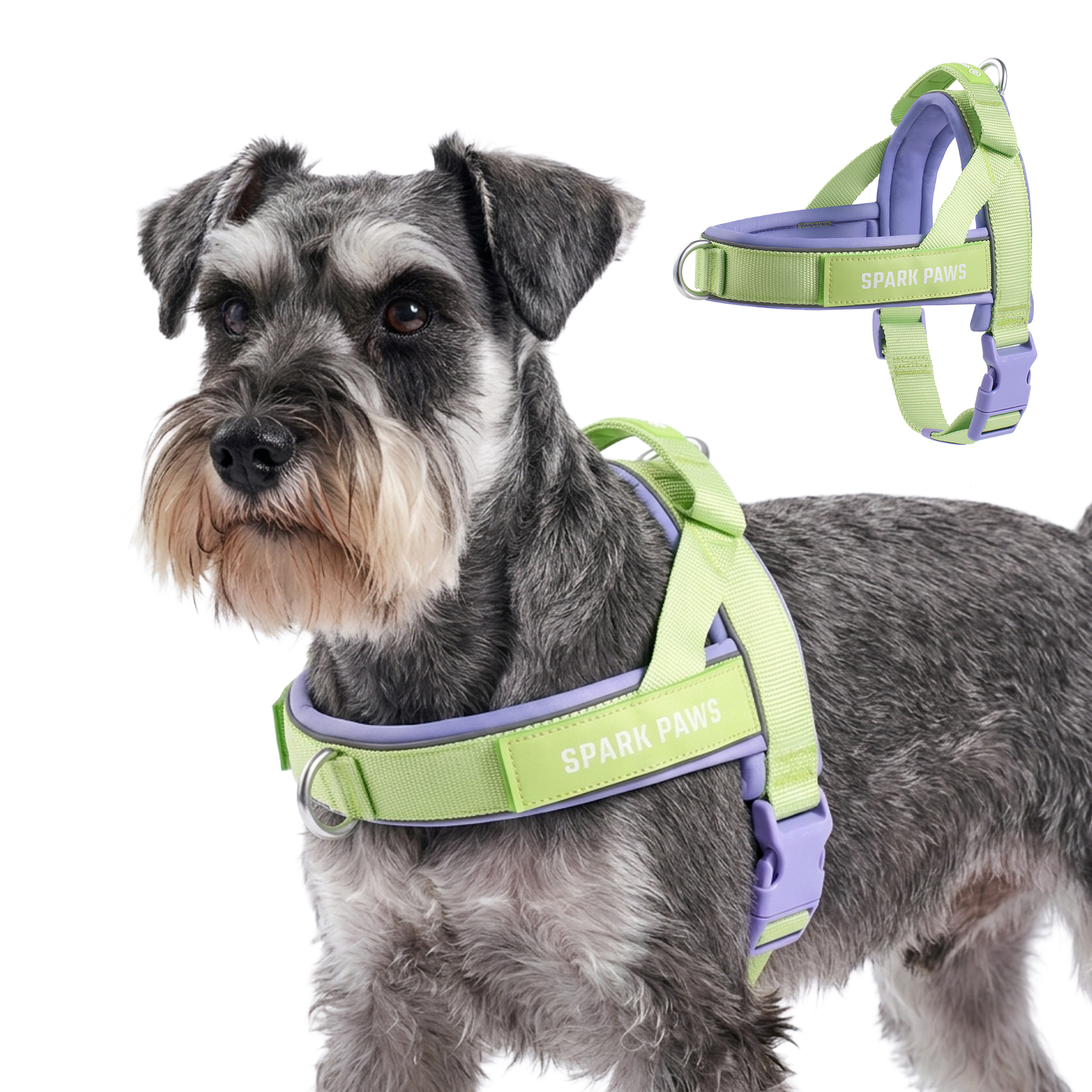Grab & Go Harness - Violet Lime - Image 4
