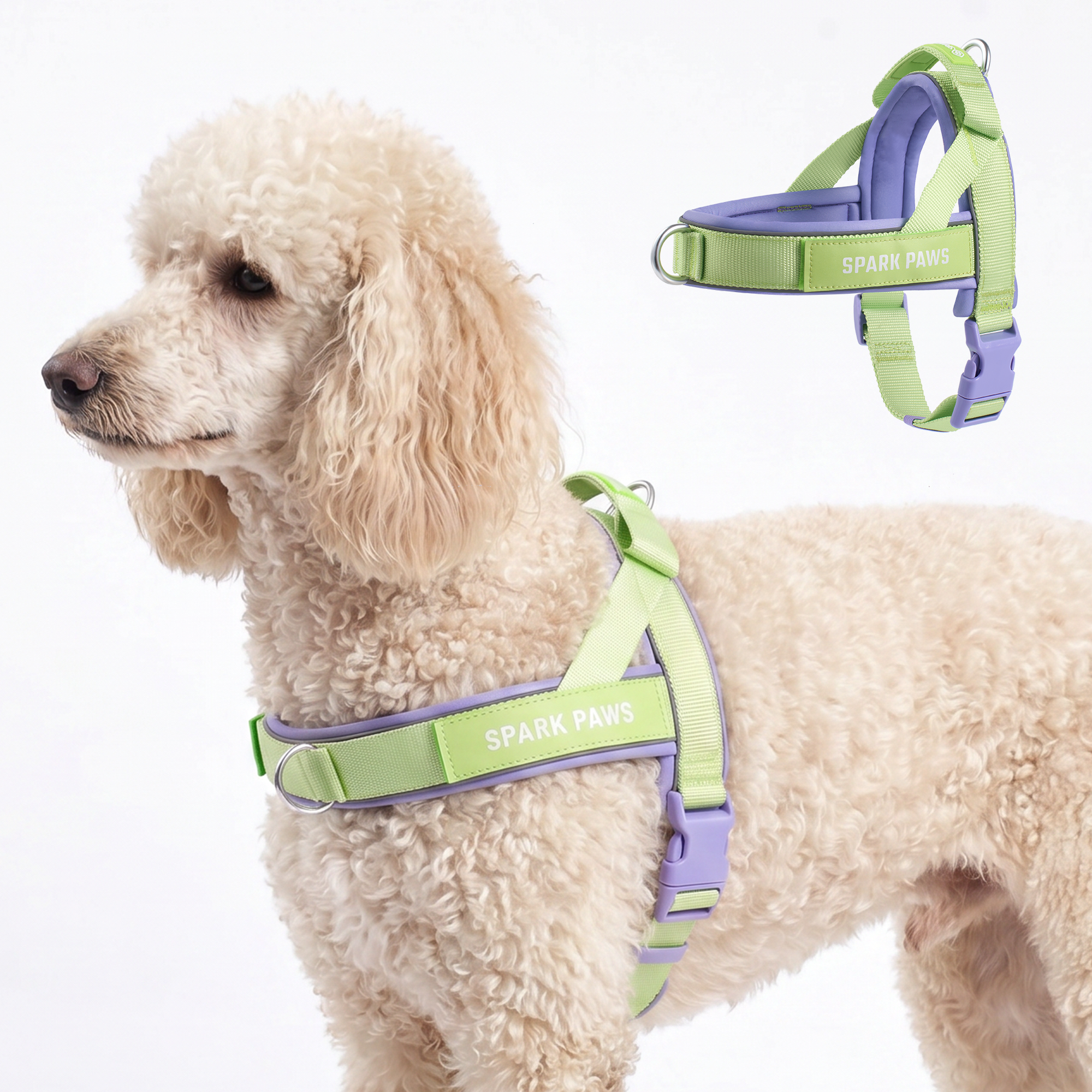 Grab & Go Harness - Violet Lime - Image 6