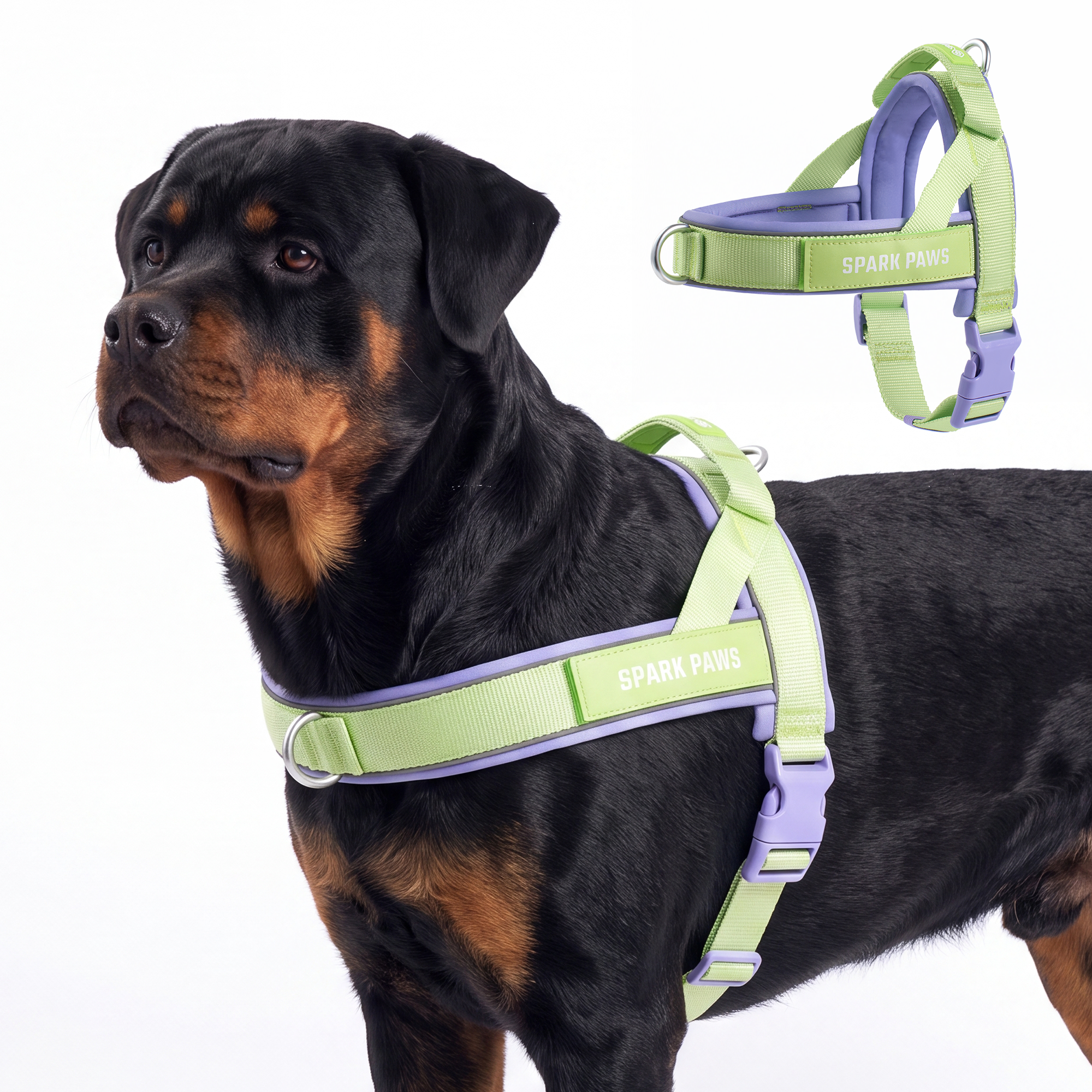 Grab & Go Harness - Violet Lime - Image 2