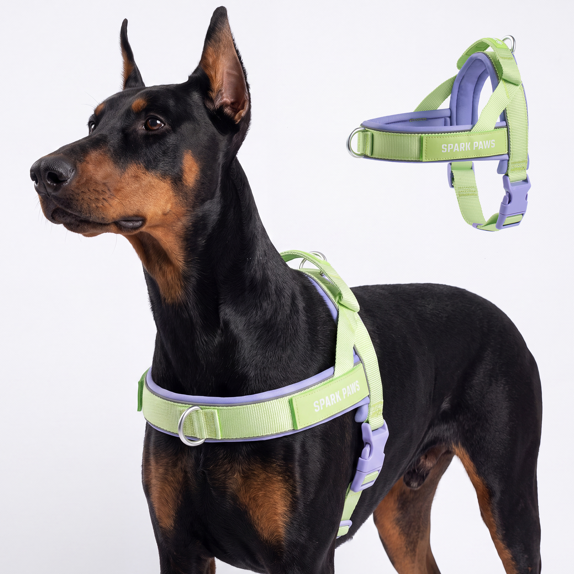 Grab & Go Harness - Violet Lime - Image 7