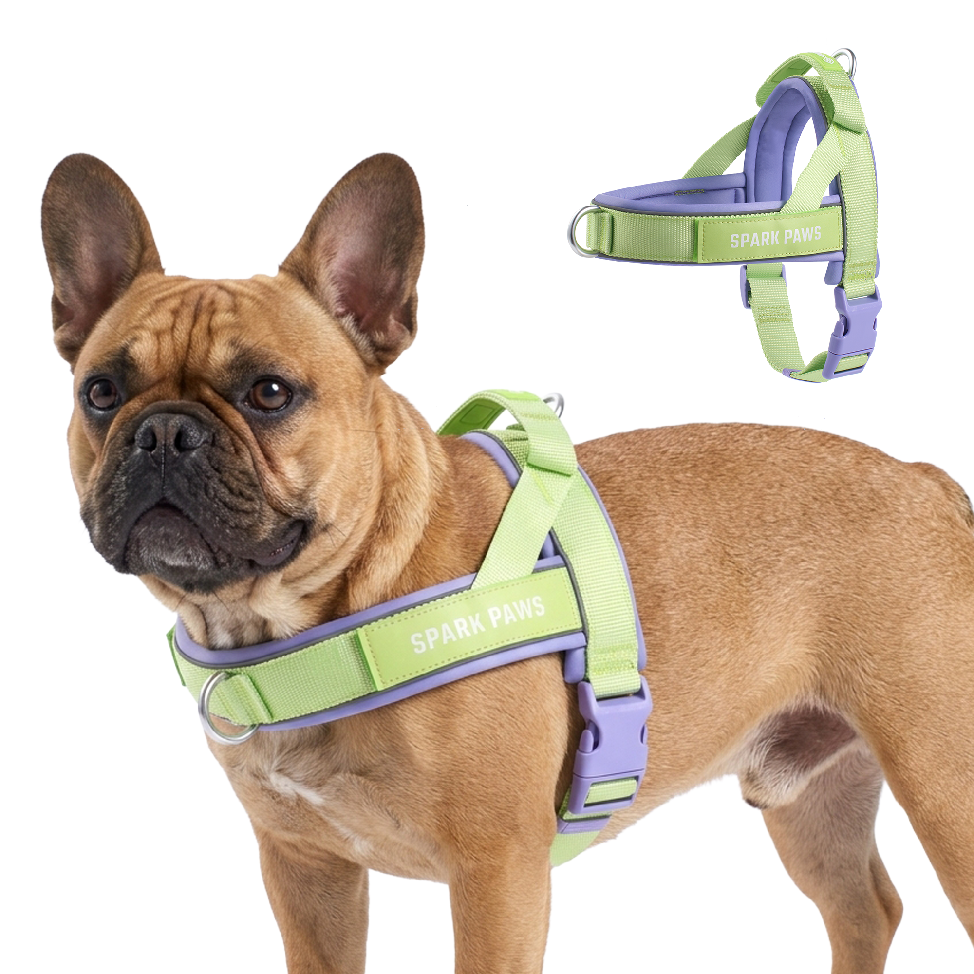 Grab & Go Harness - Violet Lime - Image 3