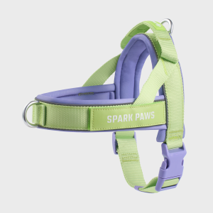 Grab & Go Harness - Violet Lime