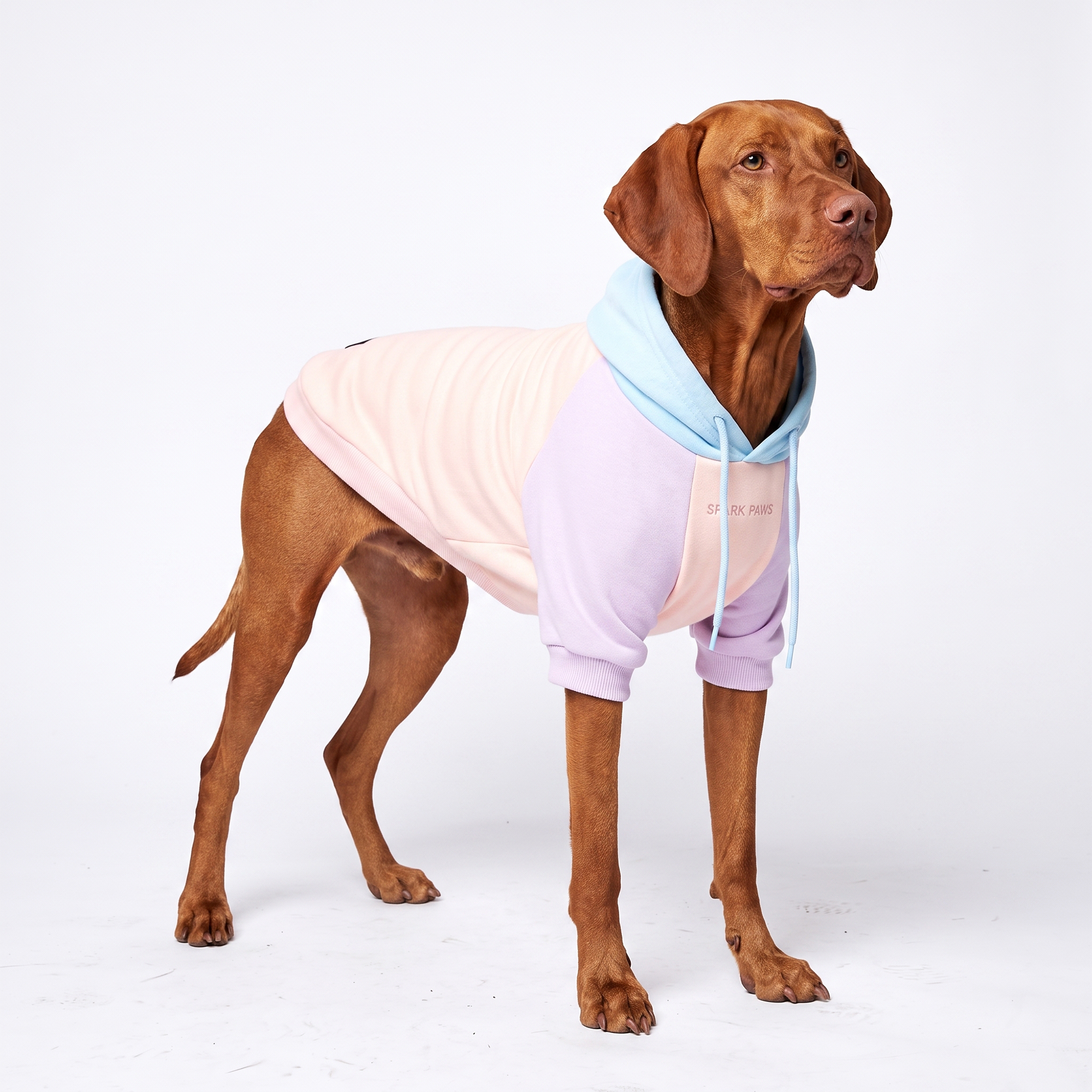 Cotton Candy Dog Hoodie - Image 7