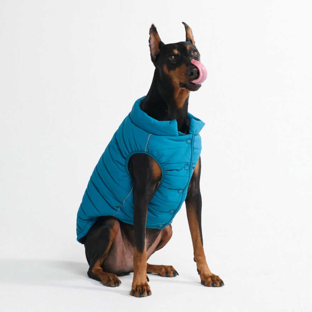WarmShield Water-Resistant Jacket - Teal - Image 10