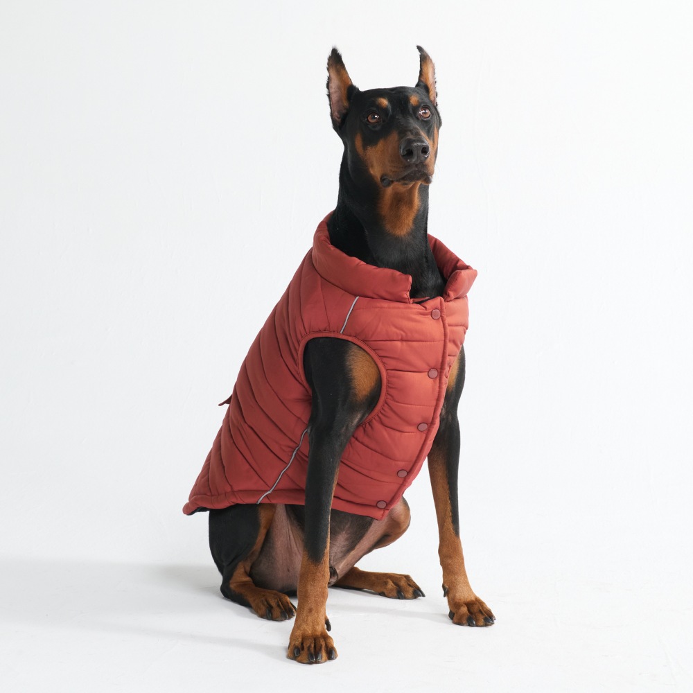 WarmShield Water-Resistant Jacket - Crimson - Image 9