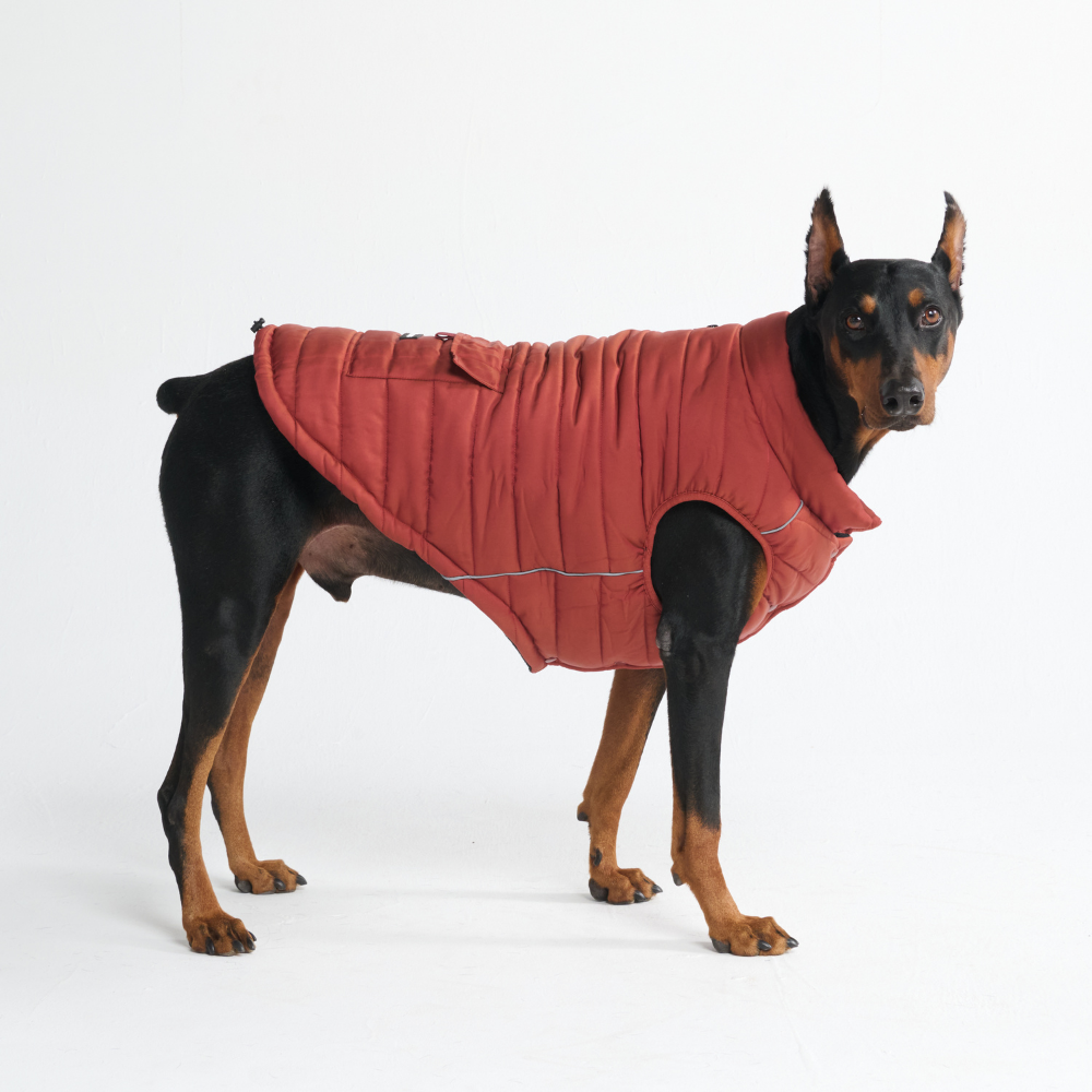 WarmShield Water-Resistant Jacket - Crimson - Image 4