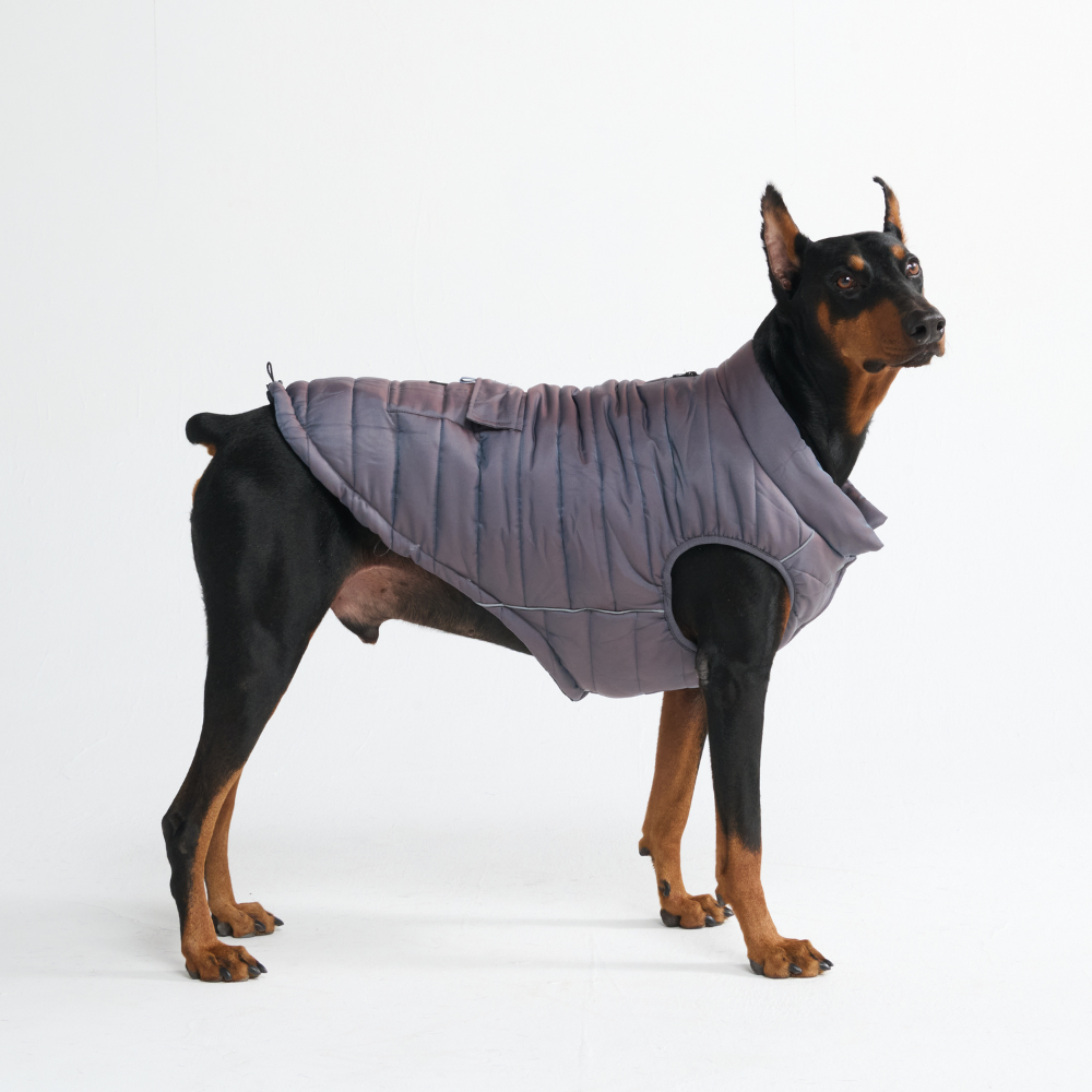 WarmShield Water-Resistant Jacket - Gunmetal Grey - Image 4