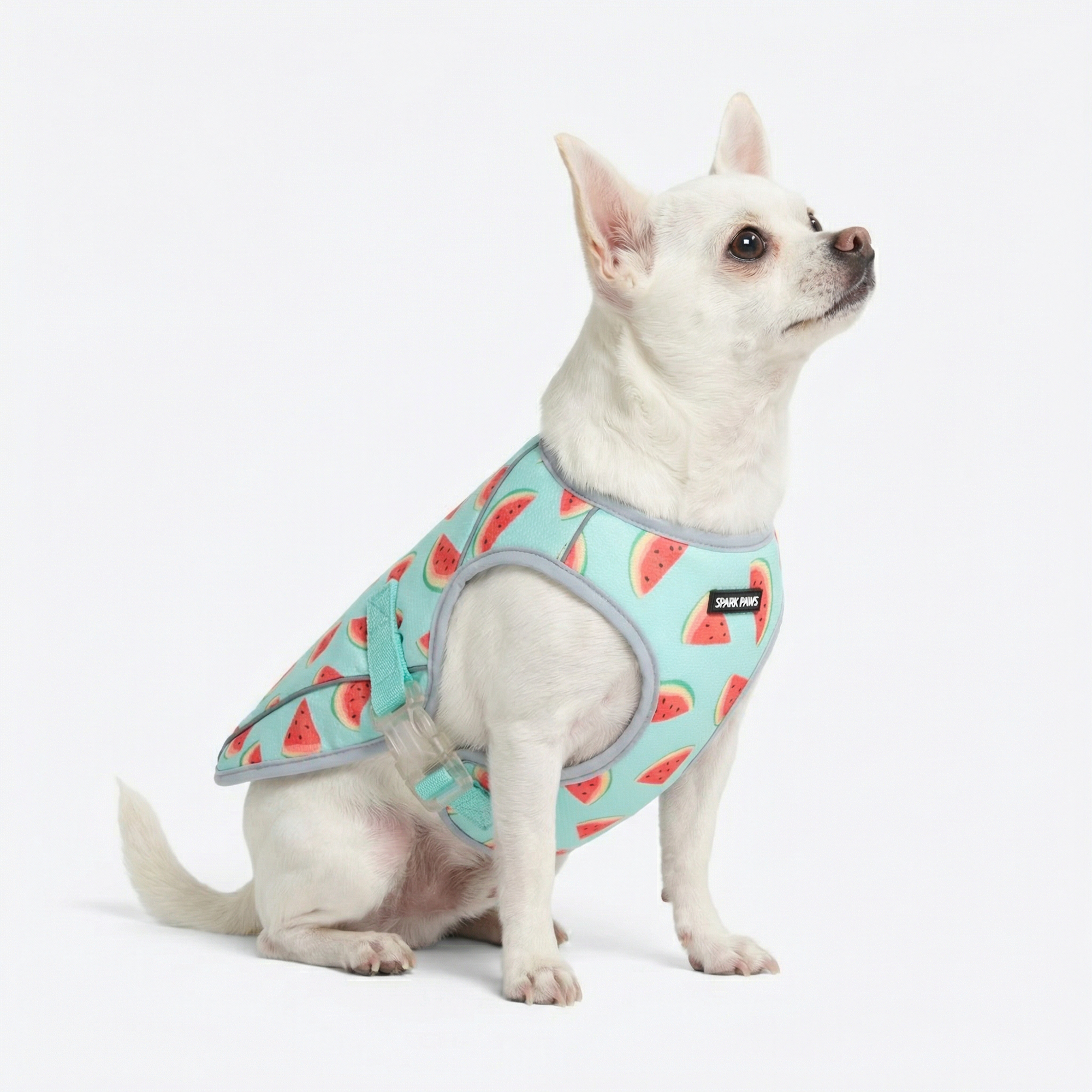 Dog Cooling Vest - Watermelon - Image 2