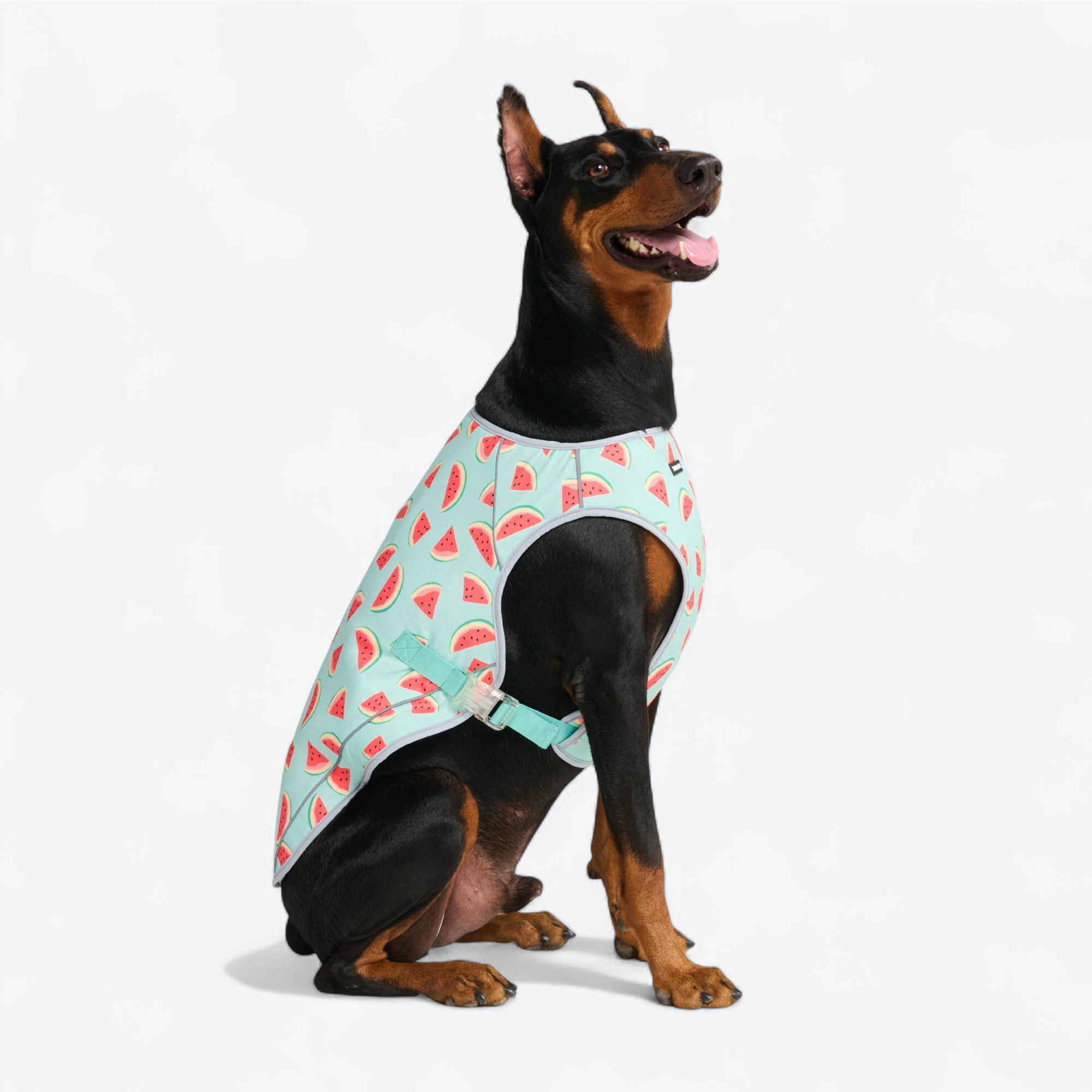 Dog Cooling Vest - Watermelon - Image 4