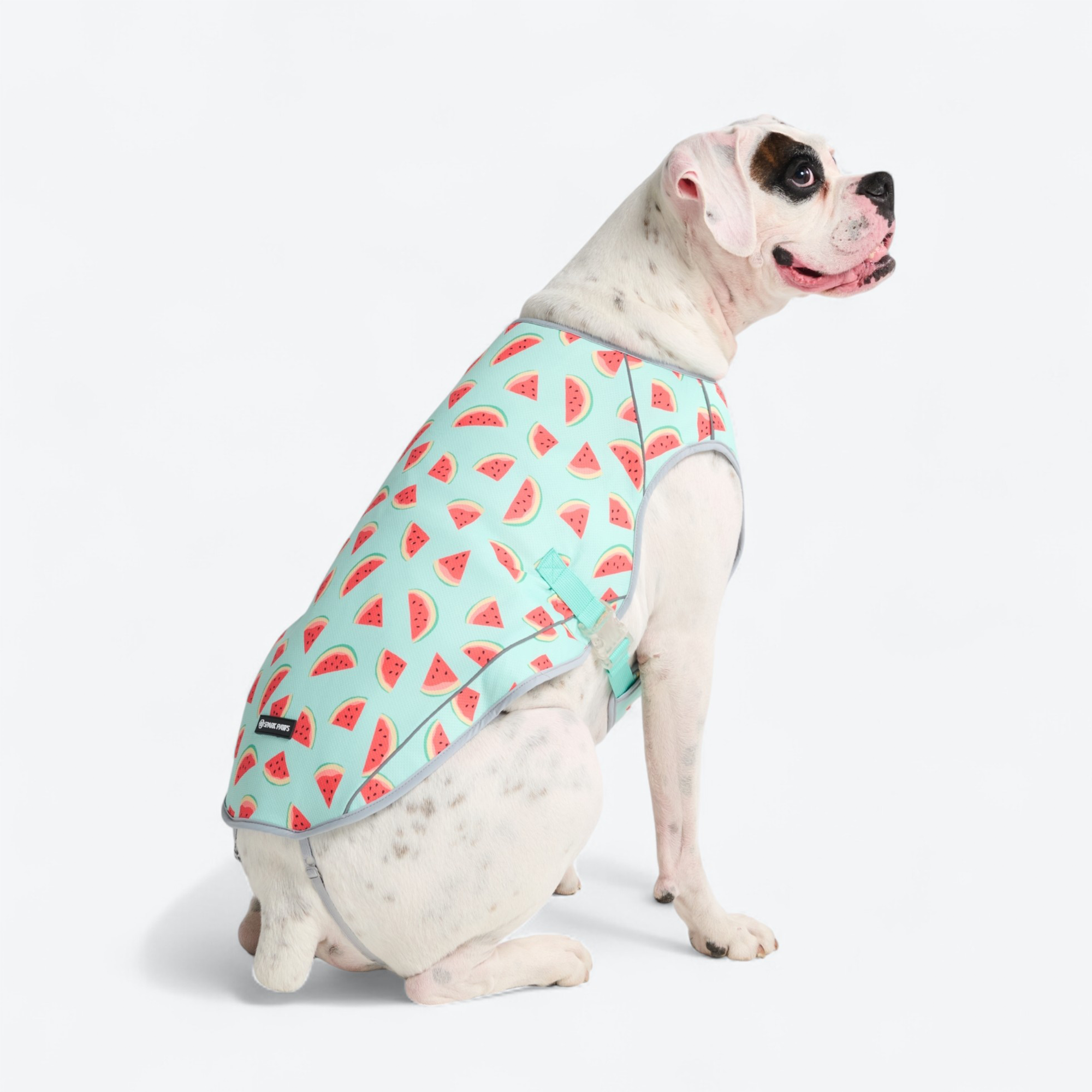 Dog Cooling Vest - Watermelon - Image 3