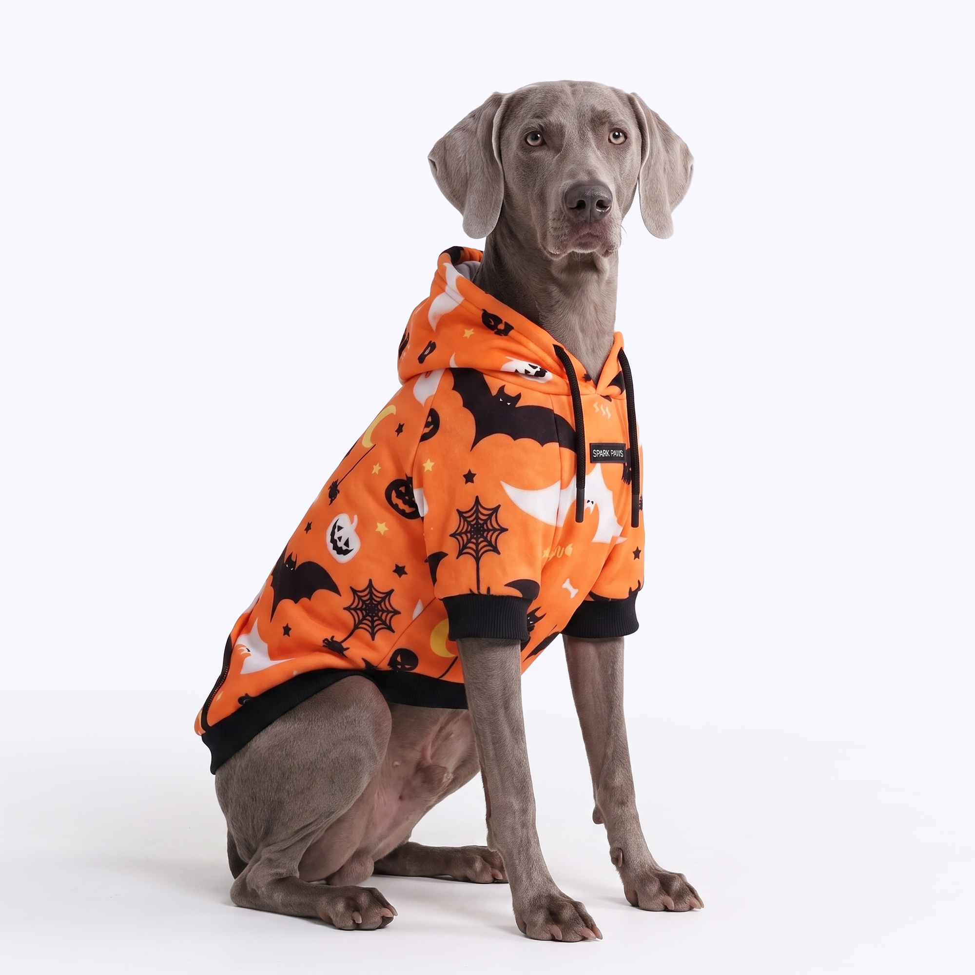 Halloween Dog Hoodie - Orange - Image 7
