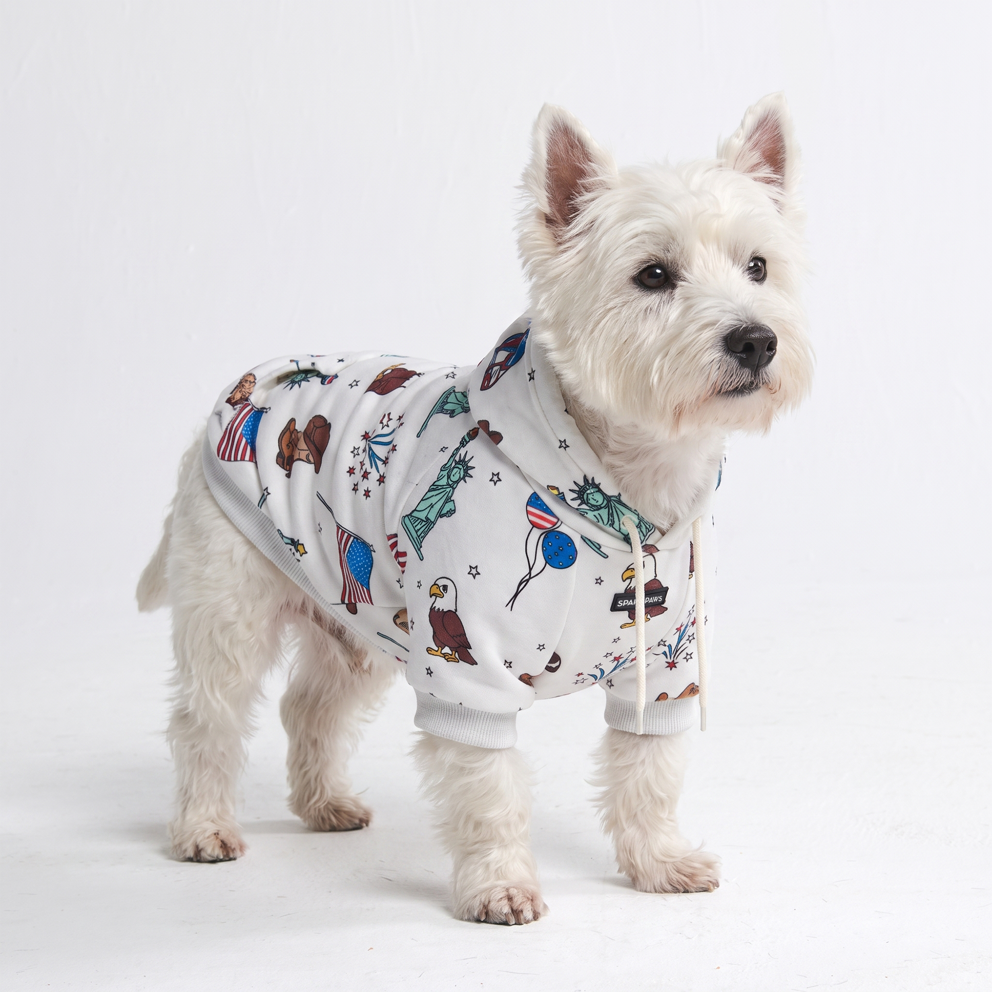 Around the World Dog Hoodies - Image 3