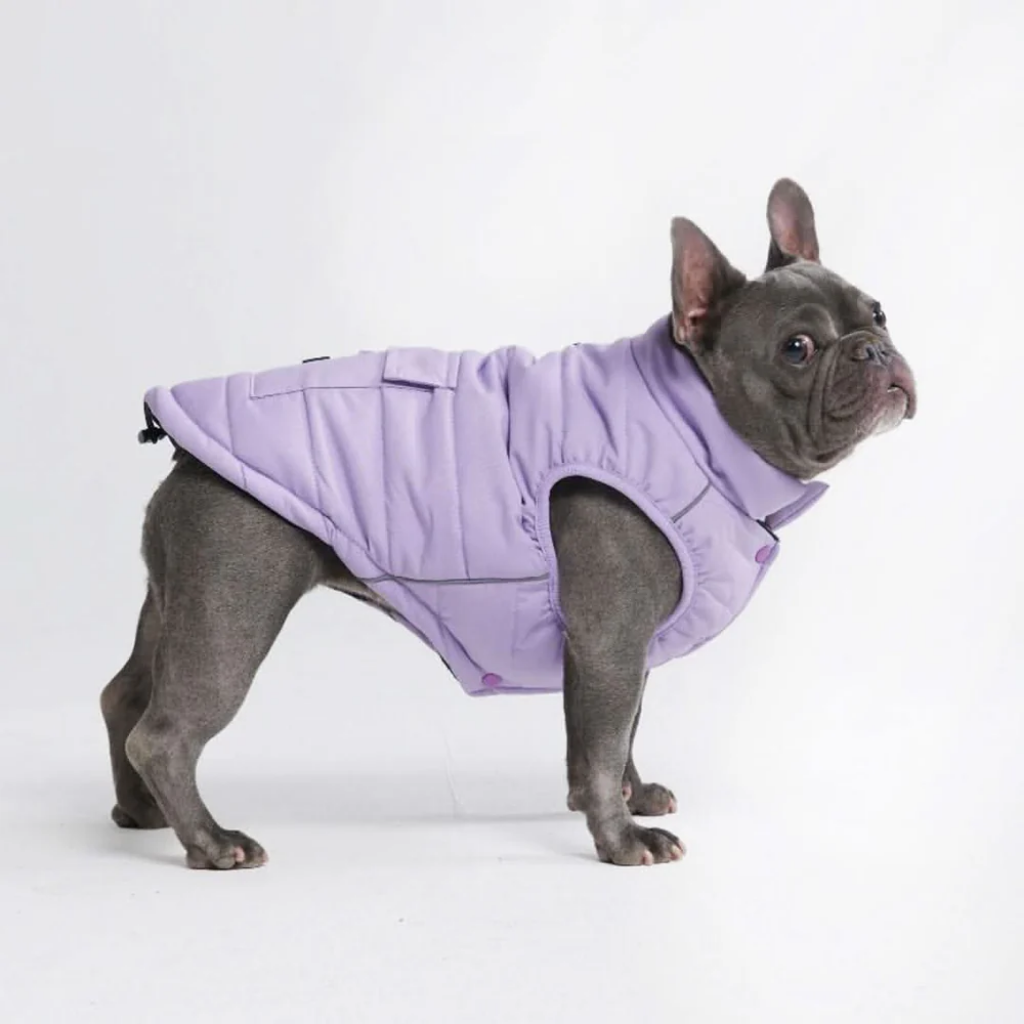WarmShield Water-Resistant Jacket - Lilac - Image 4
