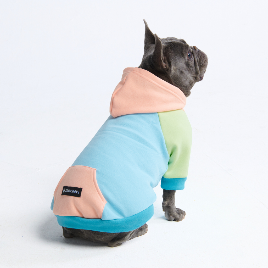 Jelly Bean Dog Hoodie - Image 11
