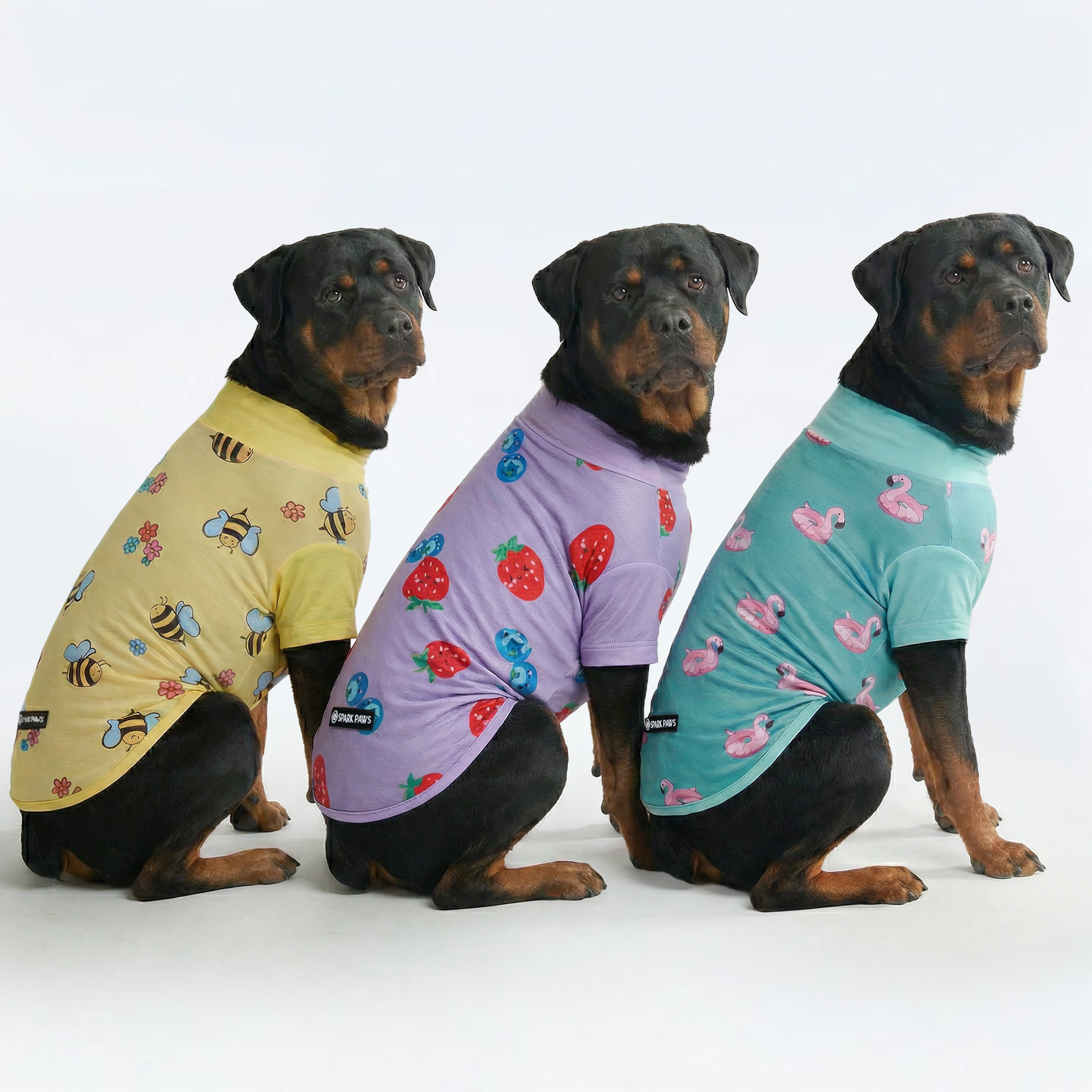 Sunblock Dog T-Shirt (3-pack) - Bees. Flamingo. Berries - Image 4