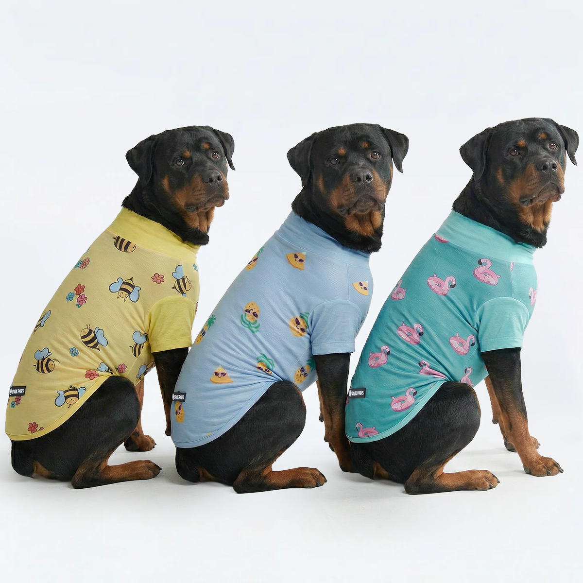Sunblock Dog T-Shirt (3-pack) - Bees. Flamingo. Pineapple - Image 4