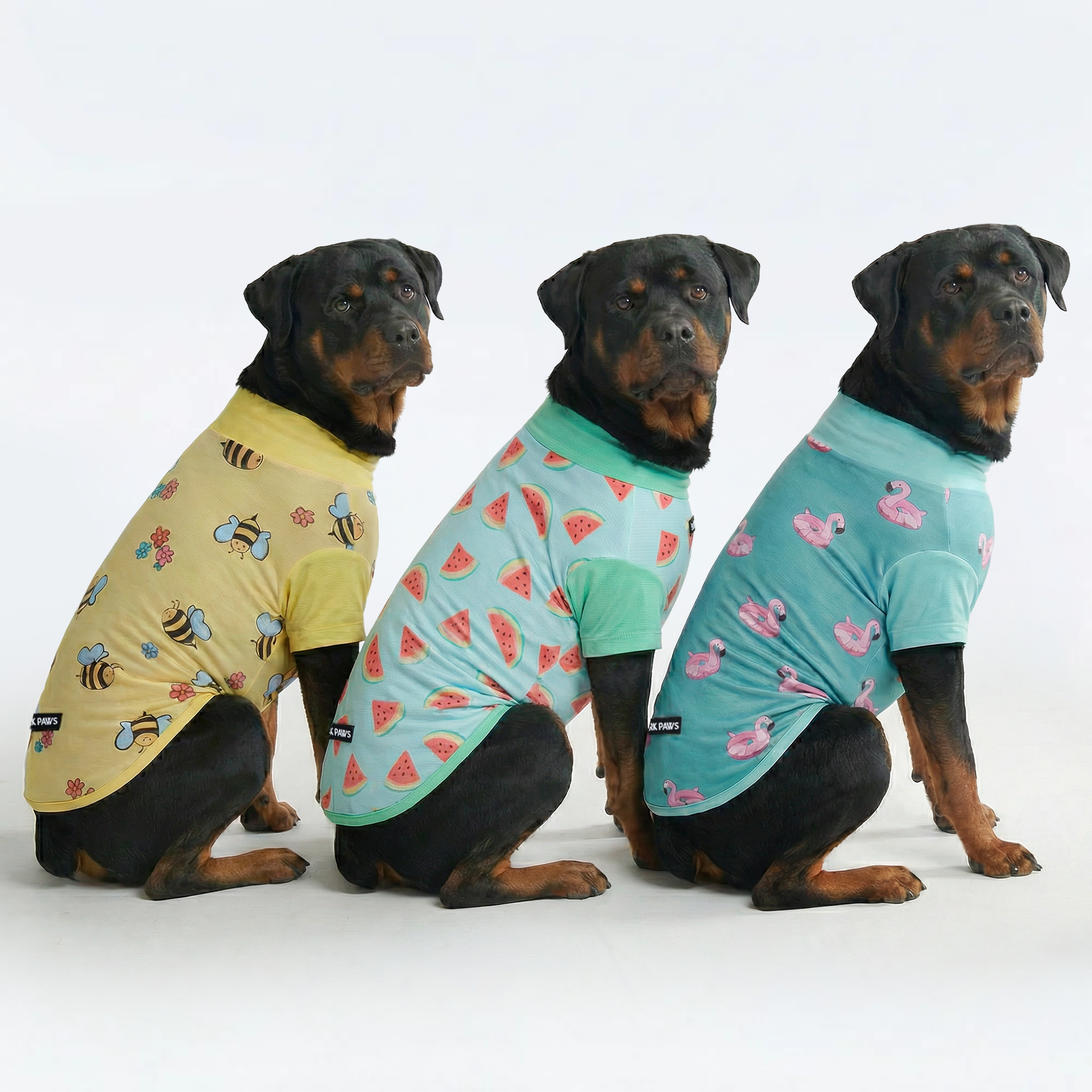 Sunblock Dog T-Shirt (3-pack) - Bees. Flamingo. Watermelon - Image 4