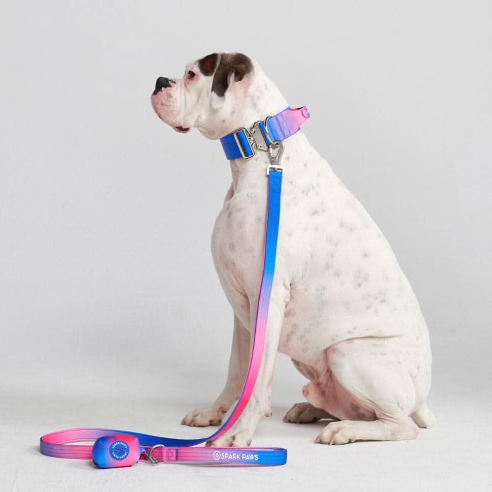 Comfort Control Collar Set - Snow Cone - Image 2