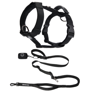 Comfort Control No-Pull Dog Harness and Multipurpose Leash Set - Black