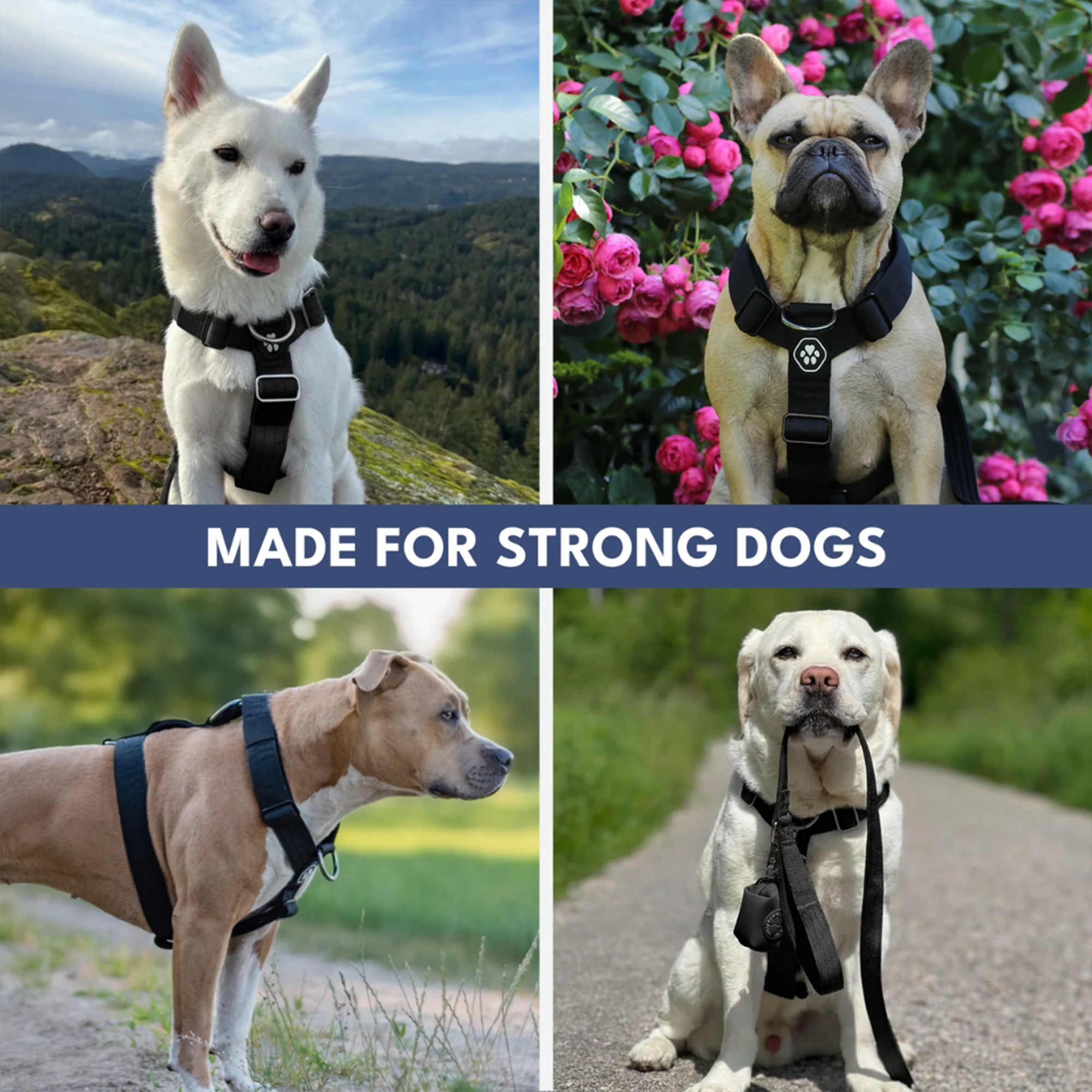 Comfort Control No-Pull Dog Harness and Multipurpose Leash Set - Black - Image 6