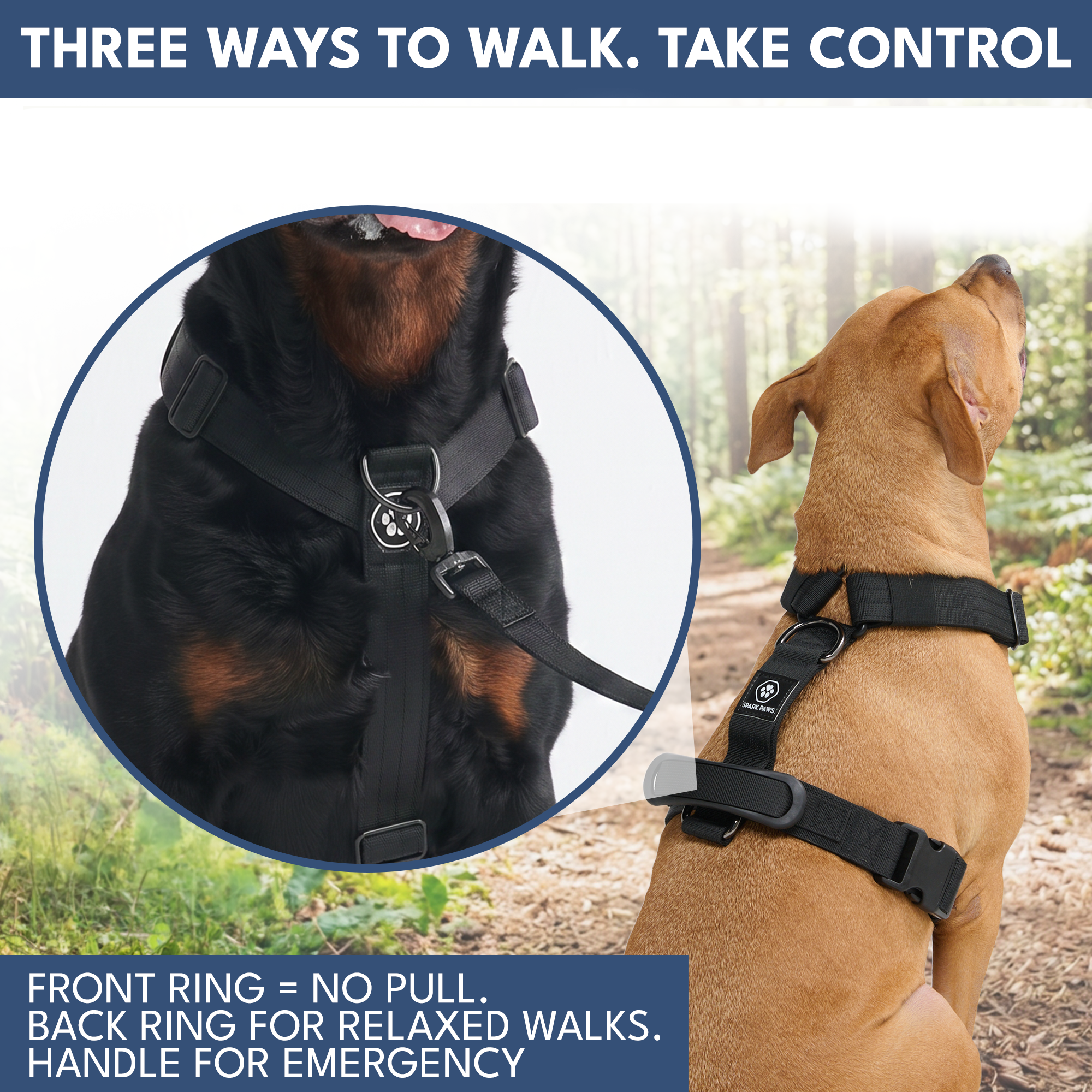 Comfort Control No-Pull Dog Harness and Multipurpose Leash Set - Black - Image 4