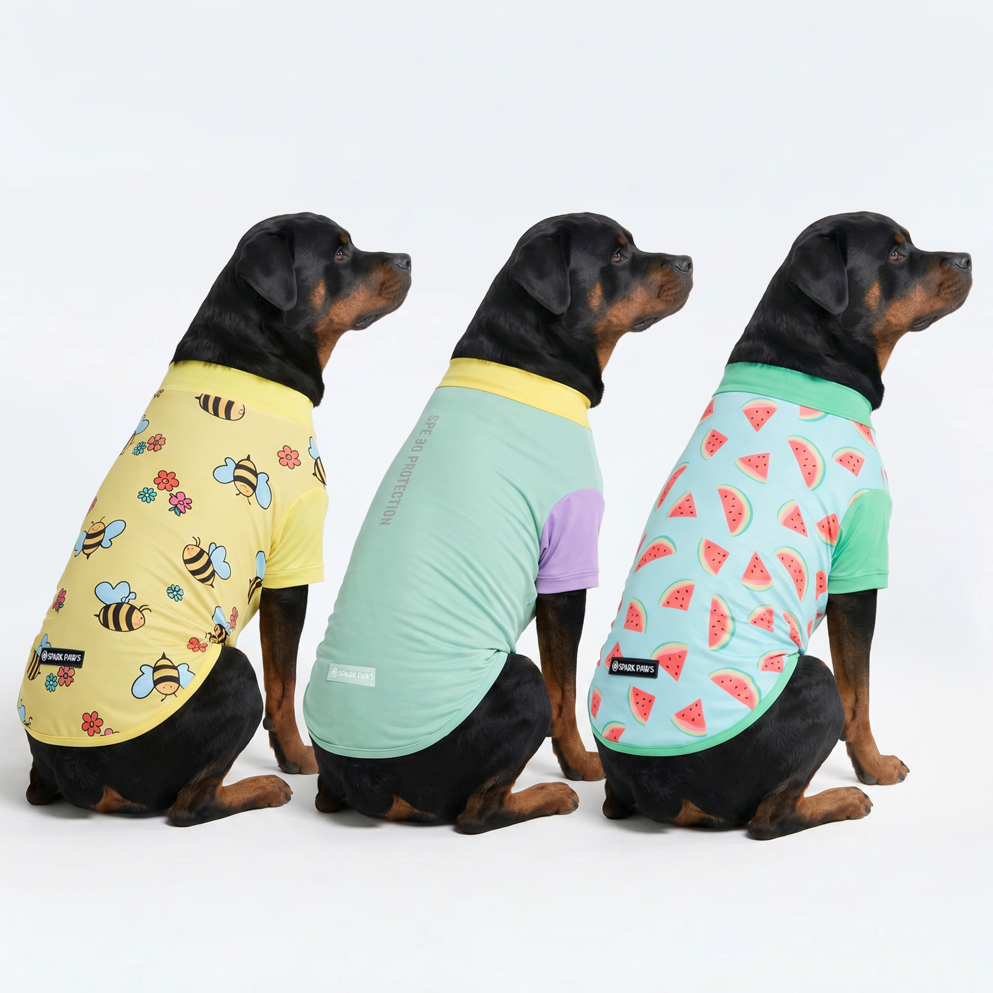 Sunblock Dog T-Shirt (3-pack) - Breeze. Bees. Watermelon - Image 4