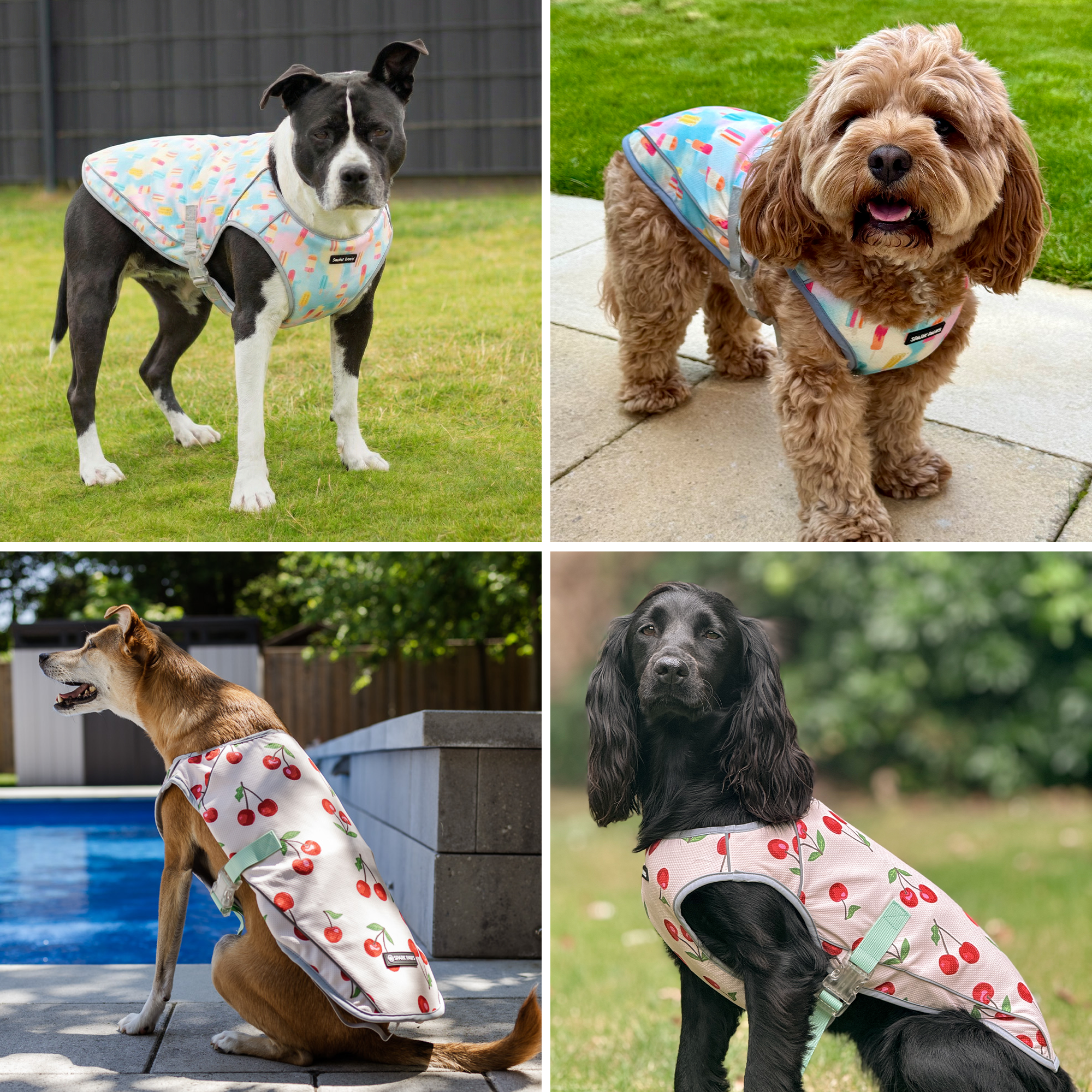 Dog Cooling Vest (2-pack) - Cherries & Popsicles - Image 6