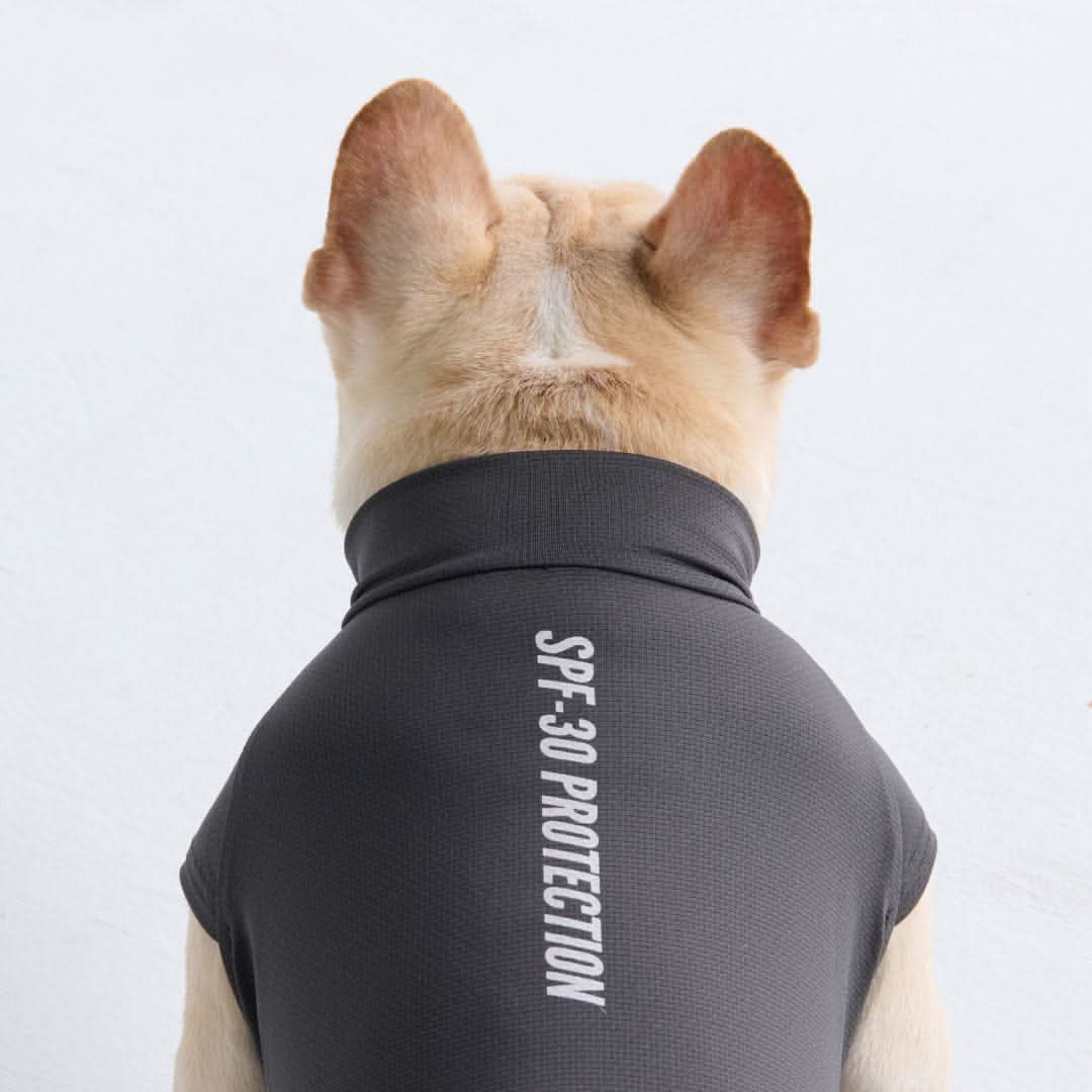 Sunblock Dog T-Shirt - Dark Grey - Image 4