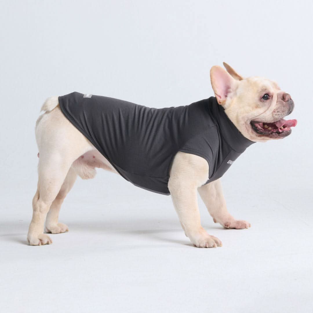 Sunblock Dog T-Shirt - Dark Grey - Image 5