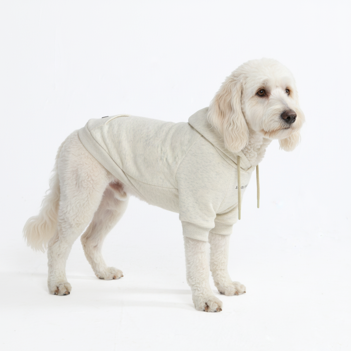 Essential Dog Hoodie - Oatmeal Heather - Image 4