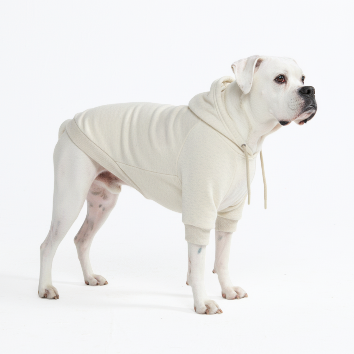 Essential Dog Hoodie - Oatmeal Heather - Image 5