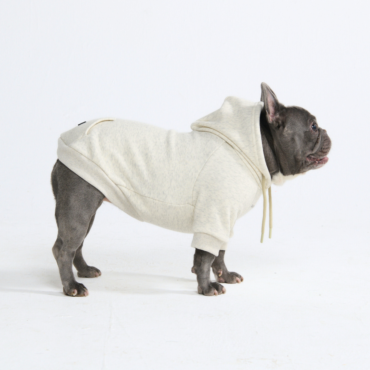 Essential Dog Hoodie - Oatmeal Heather - Image 3