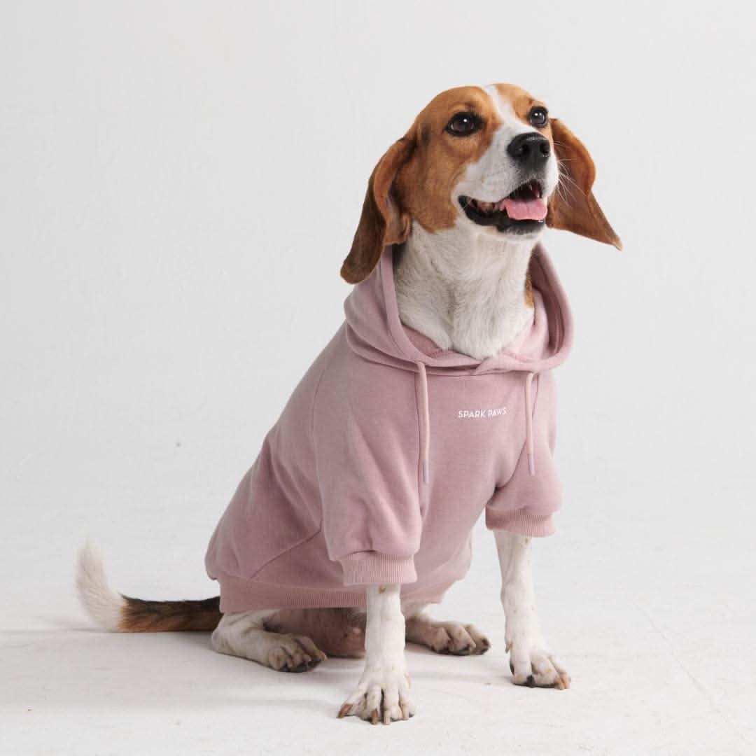 Essential Dog Hoodie - Purple Taupe - Image 2