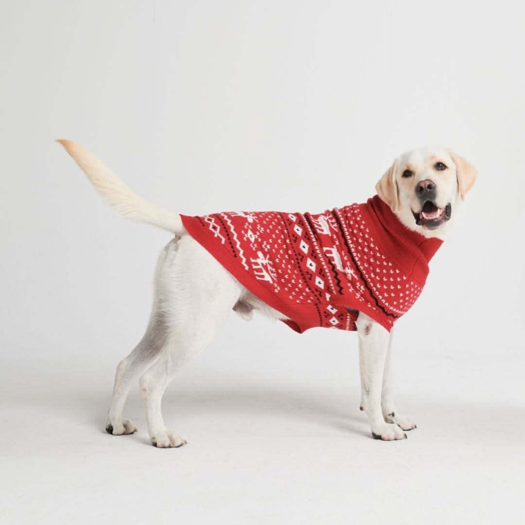 Knit Christmas Dog Sweater - Dasher Red - Image 3